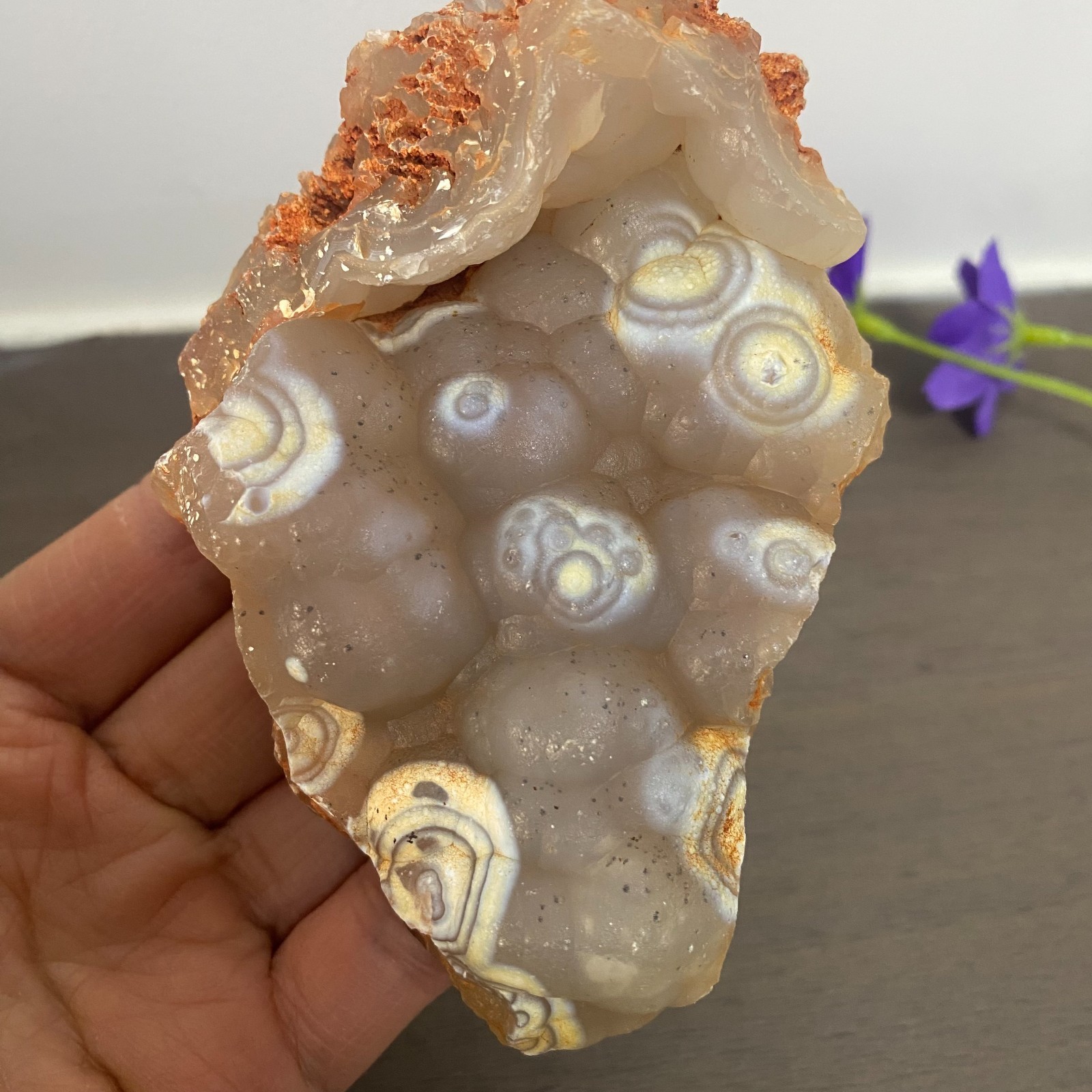 239g Bonsai Suiseki-Gobi Agate Eyes Stone-Rare Stunning Viewing
