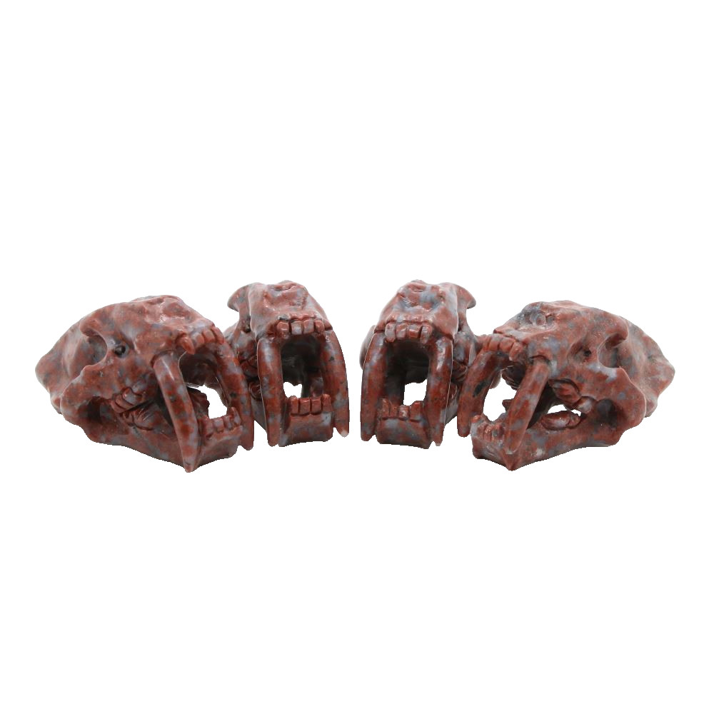 3″ RED WHITE STONE Carved Saber-toothed tiger Crystal Skull Random 1pc