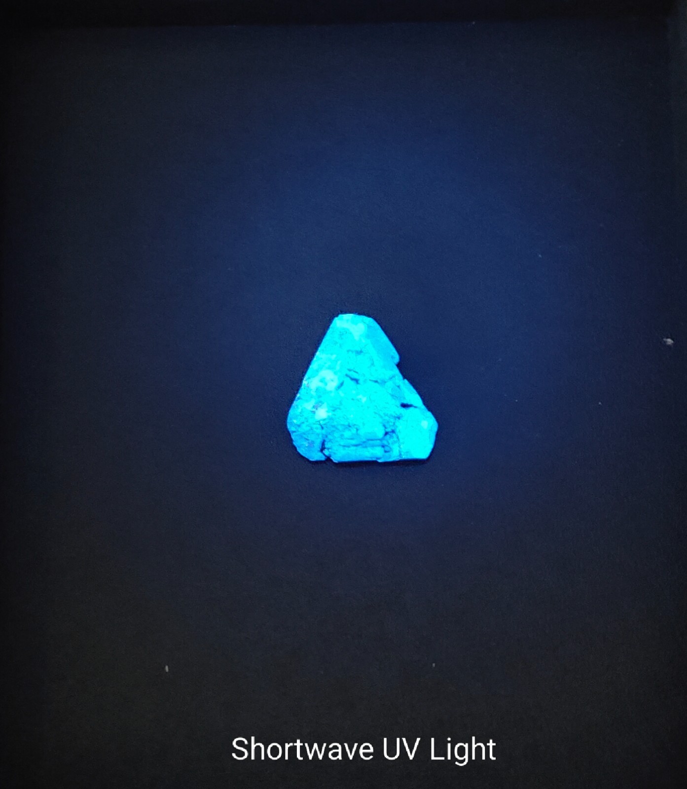 BENITOITE CRYSTAL TRIANGLE SPECIMEN ” GIANT ” Gems Gemstones Rare