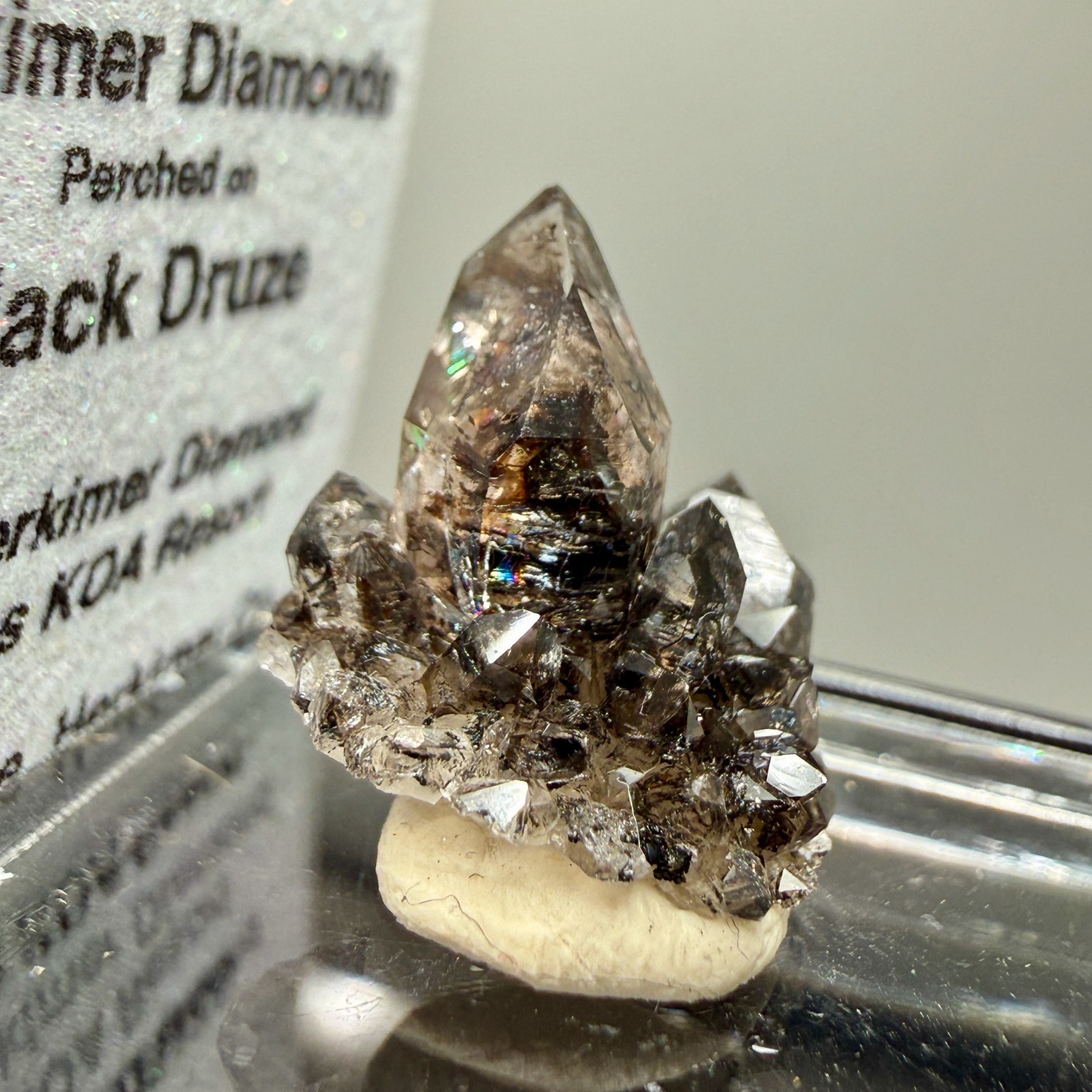 Herkimer Diamond Perched on Rare Black Druze, Gem Points w/ Phantoms