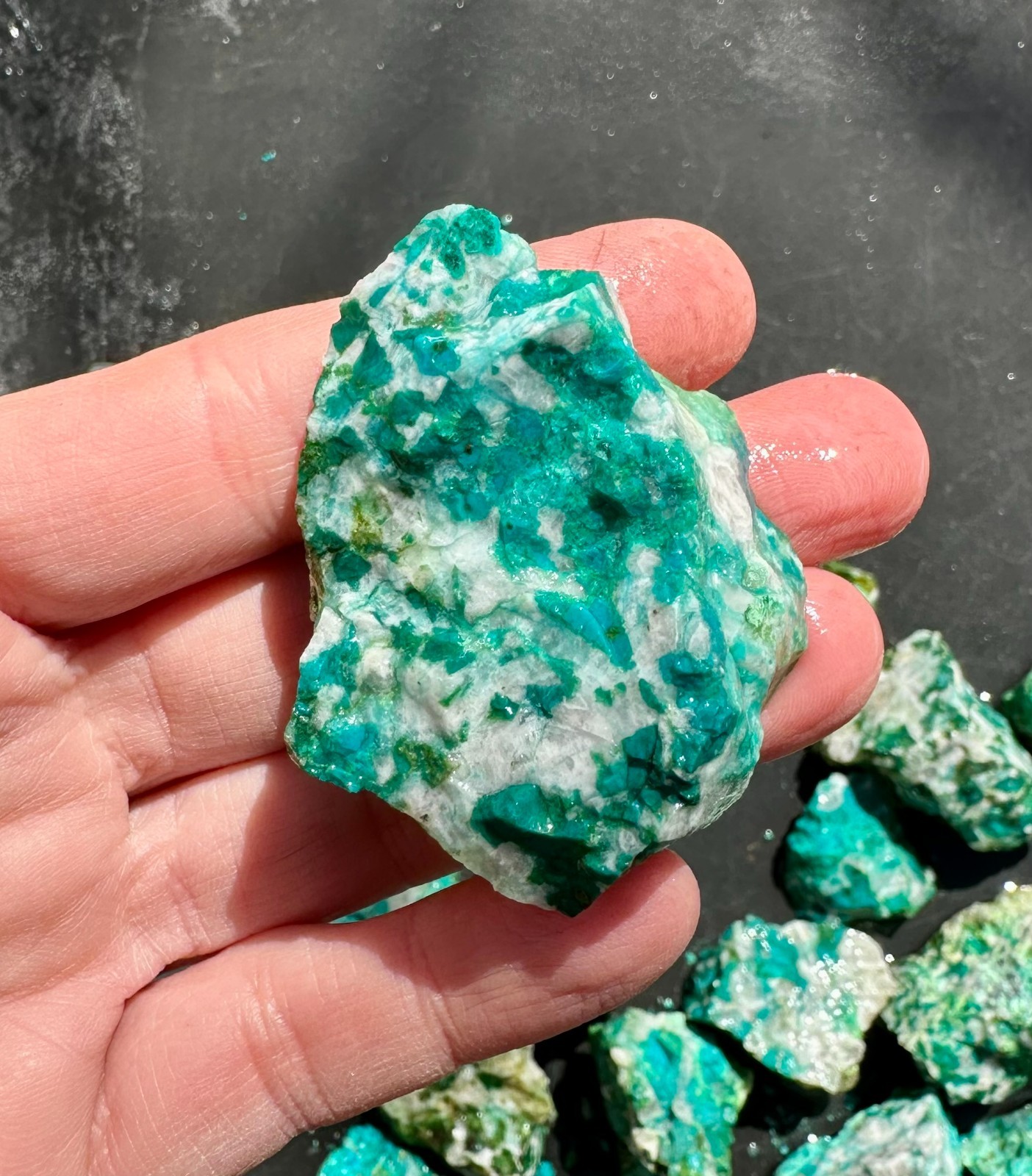 Natural Chrysocolla Rough 620 grams, Chrysocolla in Quartz for Tumbling Lapidary