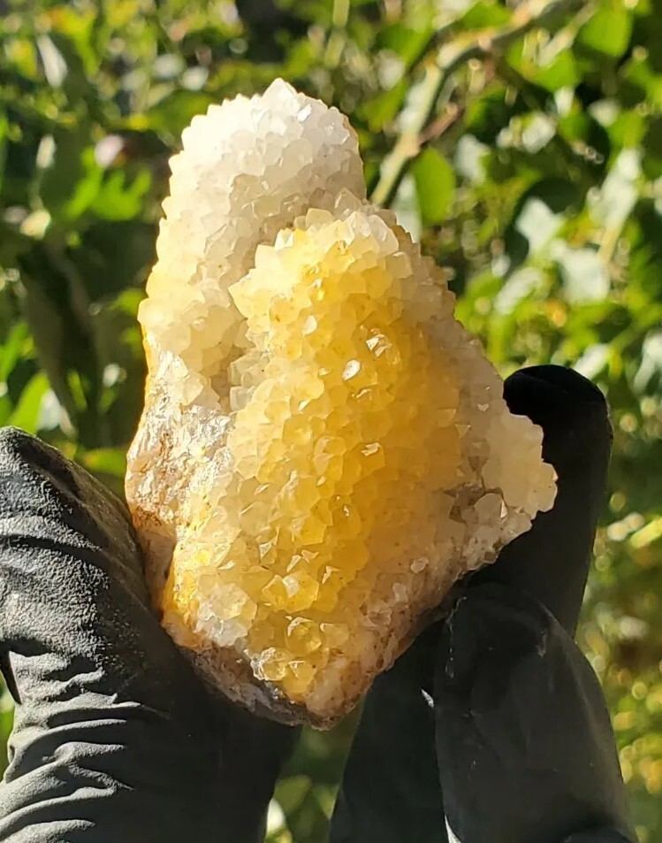 Natural Golden Healer Cluster Specimen 70g