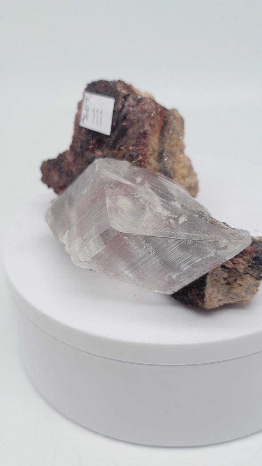 Excellent Selenite In Matrix Crystal from Naica Mine, Chihuahua Mexico 226 Grams
