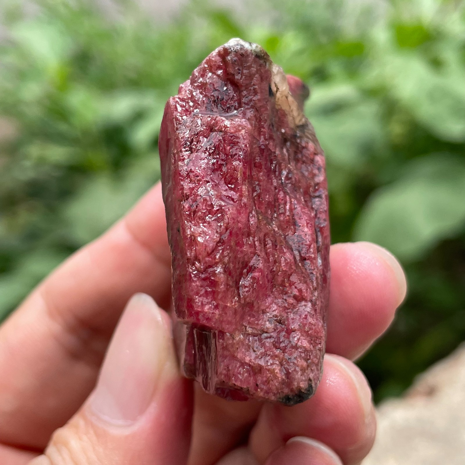 98g Small Raw Ore Red Black Rhodonite Quartz Gemstone Mineral Specimen