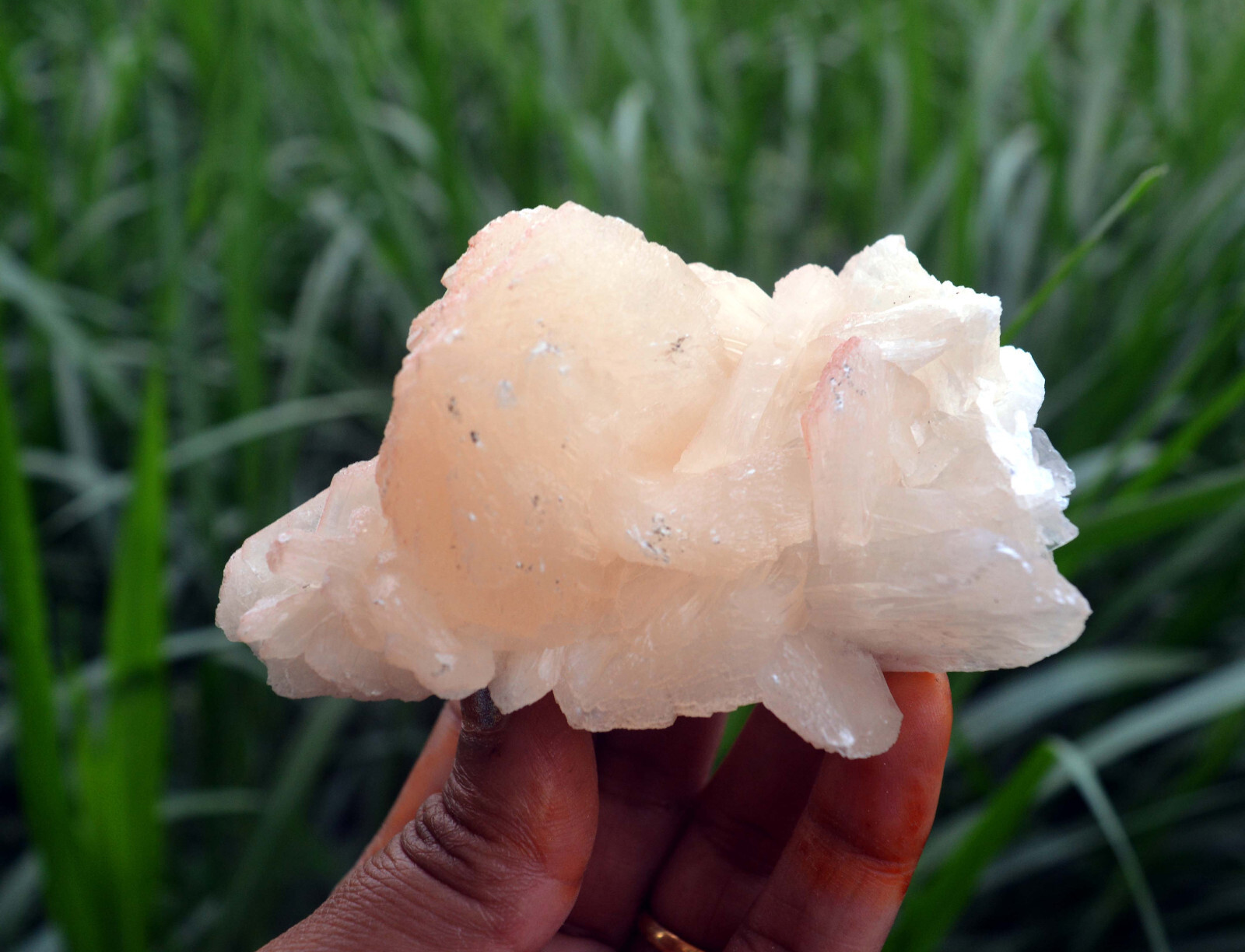 stilbite crystals w/ heulandite minerals specimen j-7