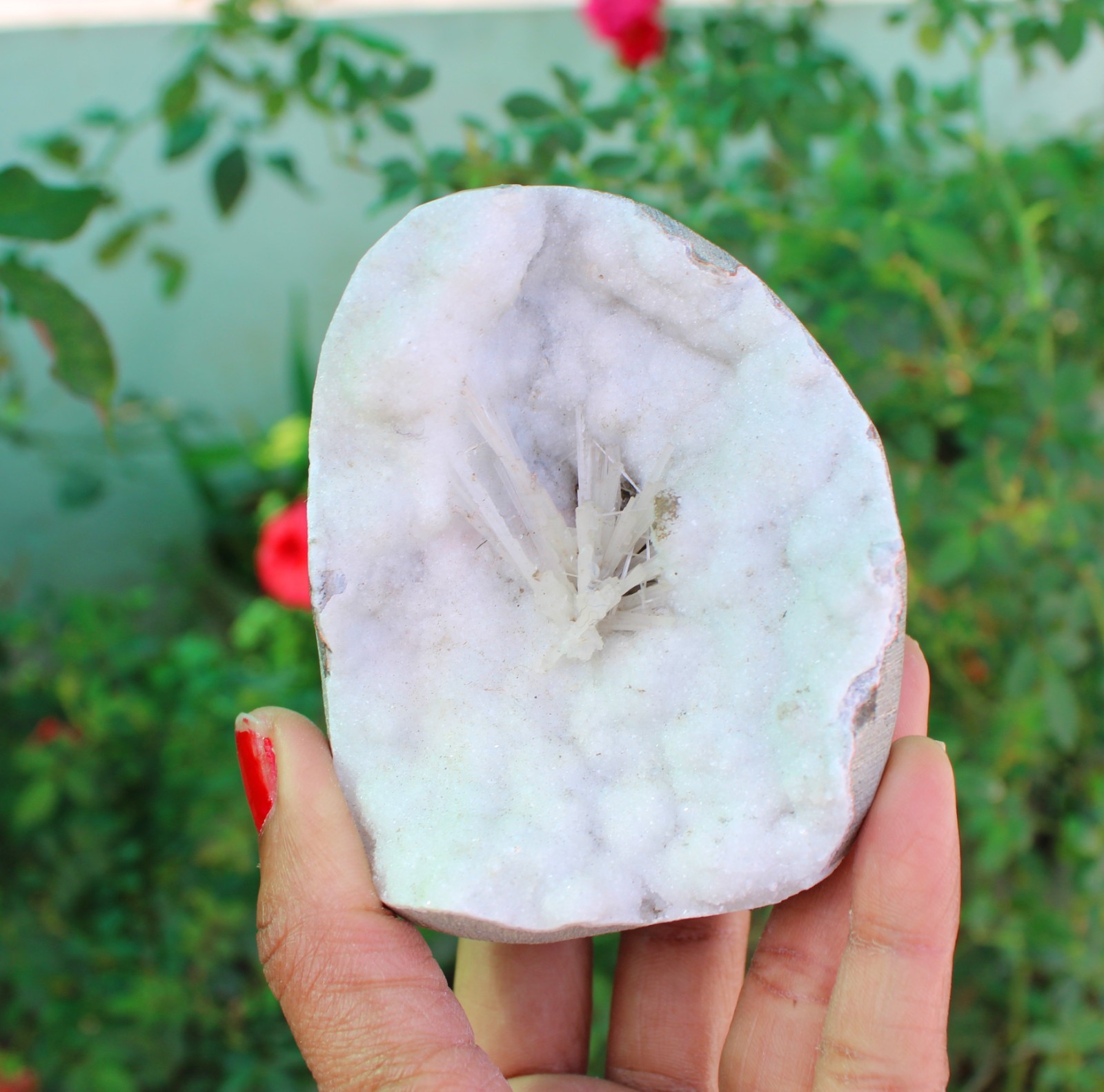Scolecite In Milky Geode Minerals Specimen#A9