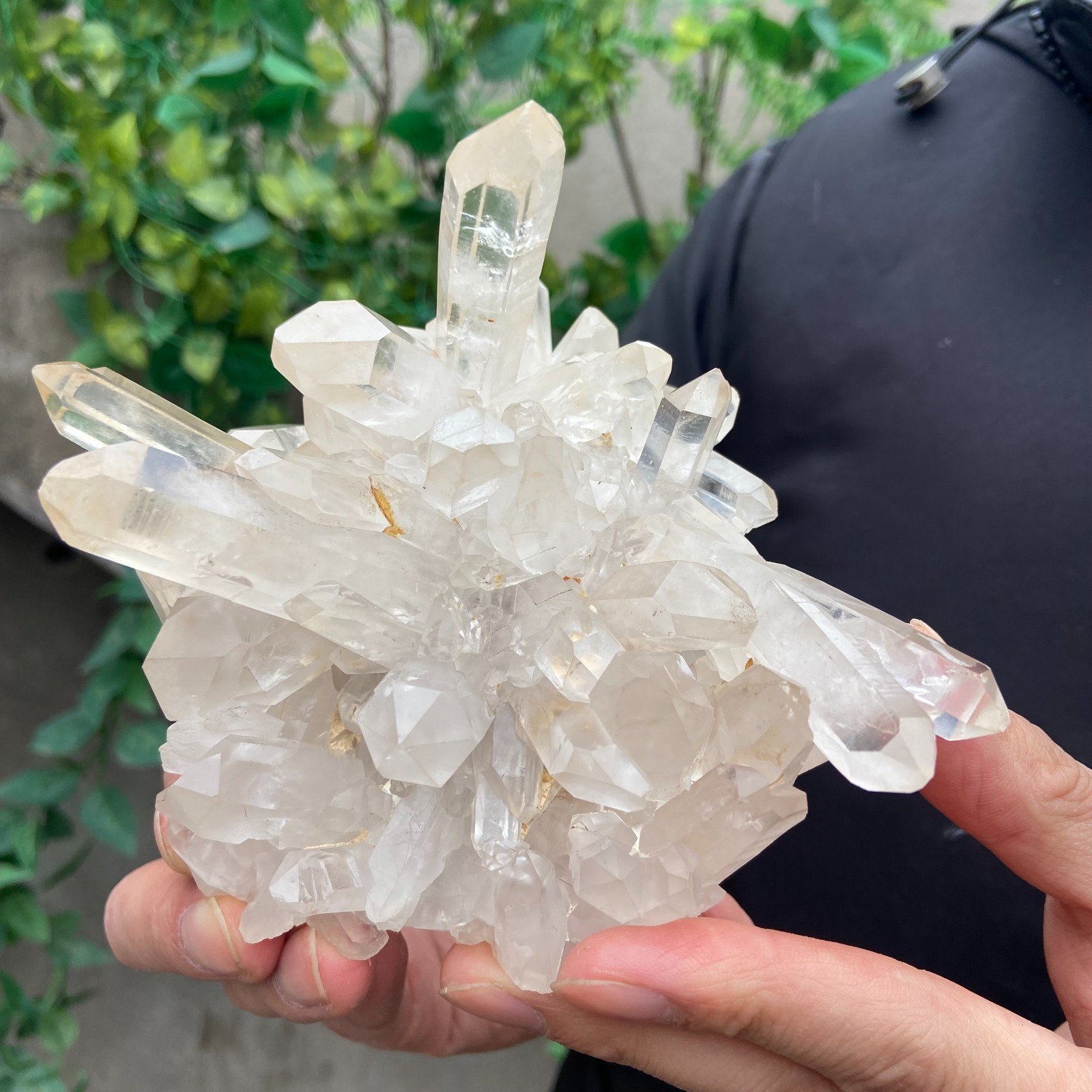 1.6lb Natural clear white quartz crystal cluster mineral specimen healing