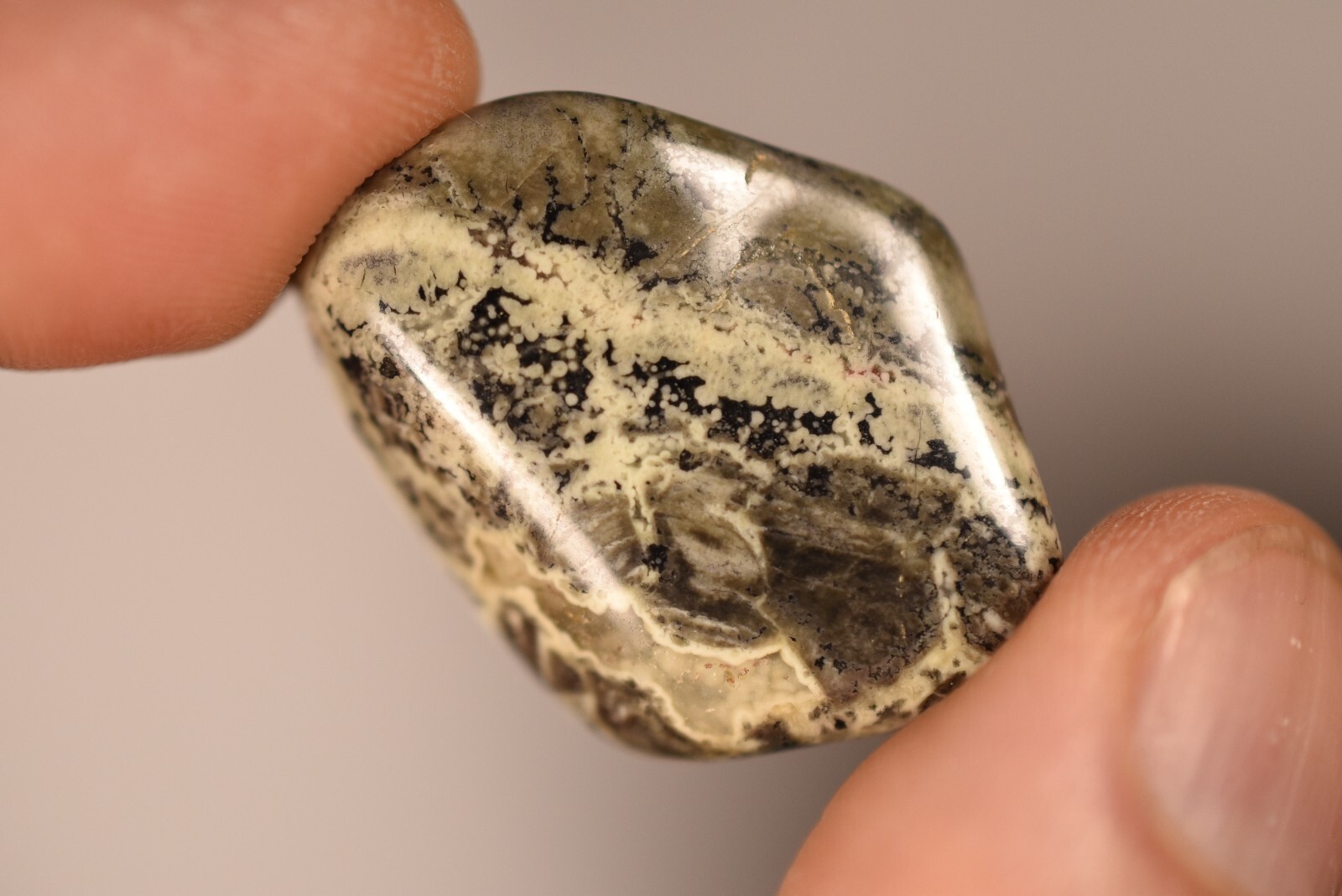 5 *SILVER LEAF JASPER* Tumbled Stones 2-4cm 71g Natural Stone