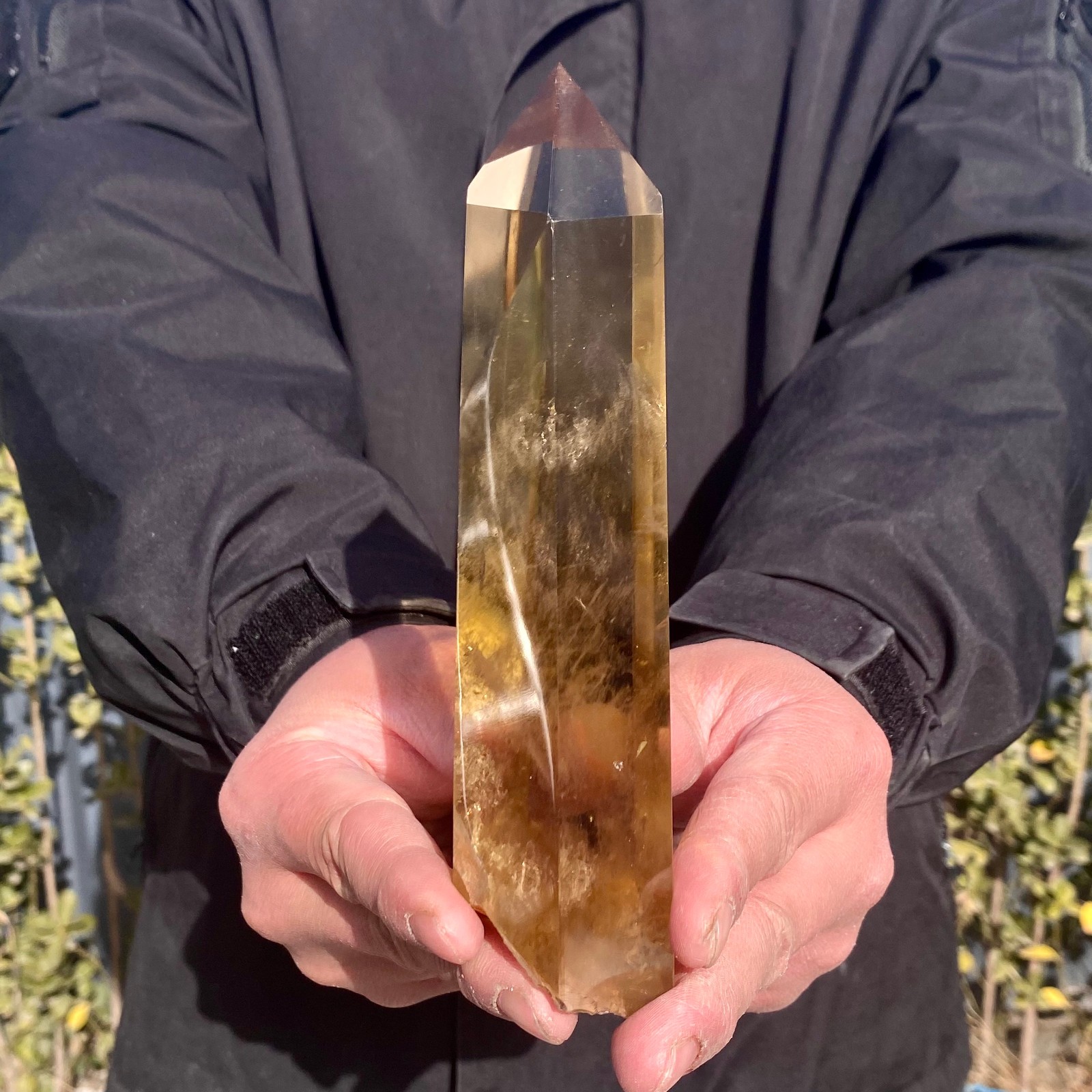 539G Natural Citrine backbone cluster mineral specimen quartz crystal healing