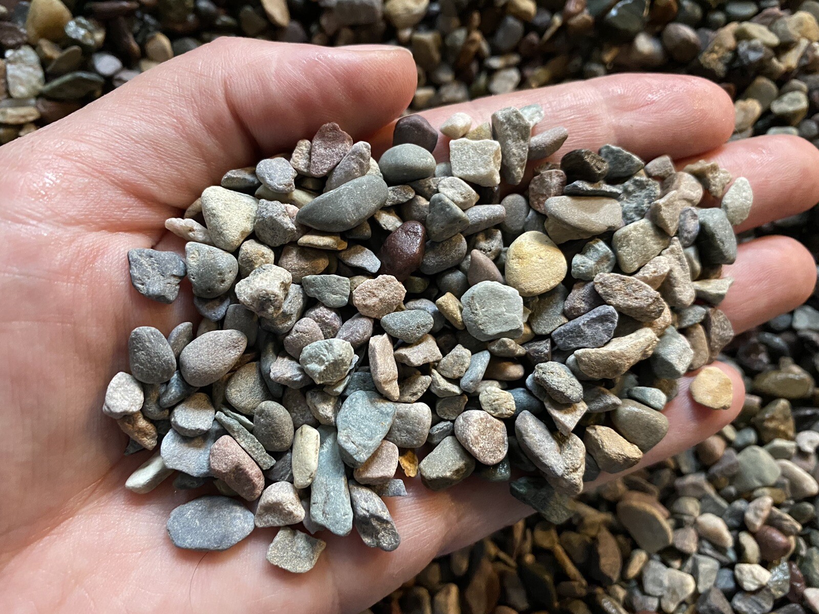 4 lbs Colorful Pebbles gravel stones 1/4″ aquarium terrarium rocks Planters