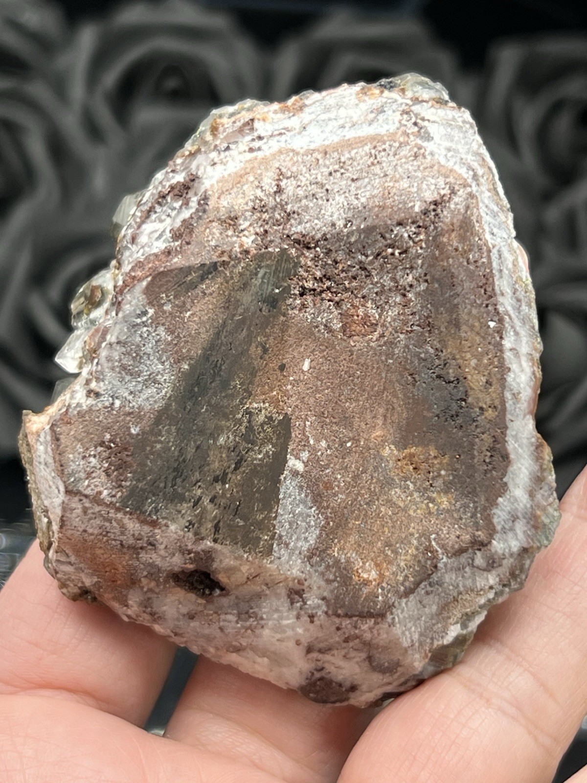Natural Pyritic “Benz Coin” Calcite Specimen great Formation Free ship & Gift