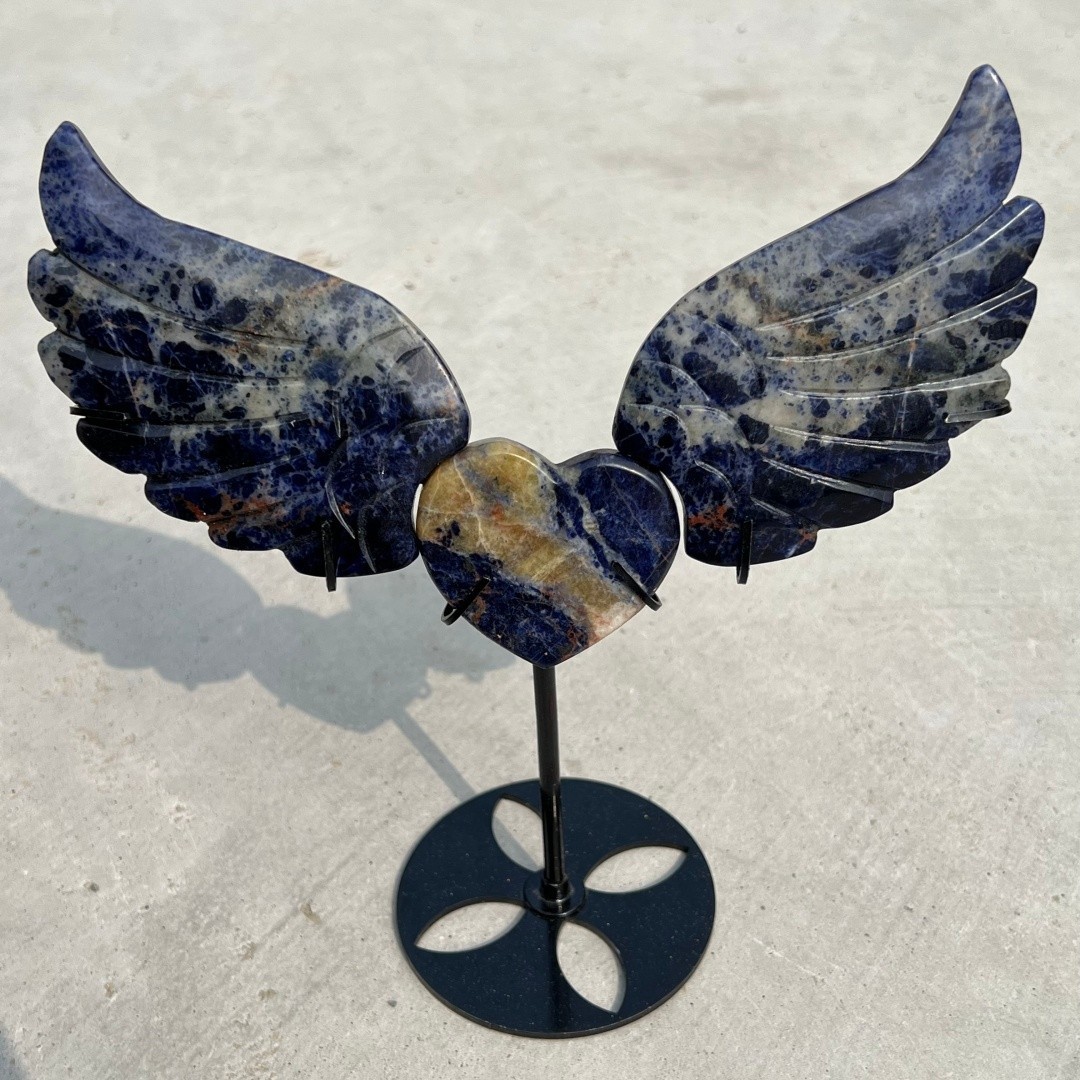 Natural Sodalite Angel of Love wings skull quartz crystal Healing Random+ Stand
