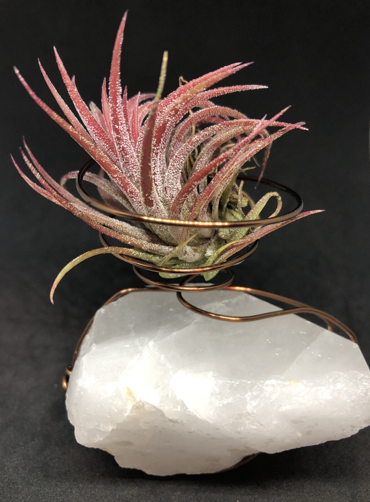 Quartz Crystal Air Planter, 240g, Reiki, Air Purifying Plant