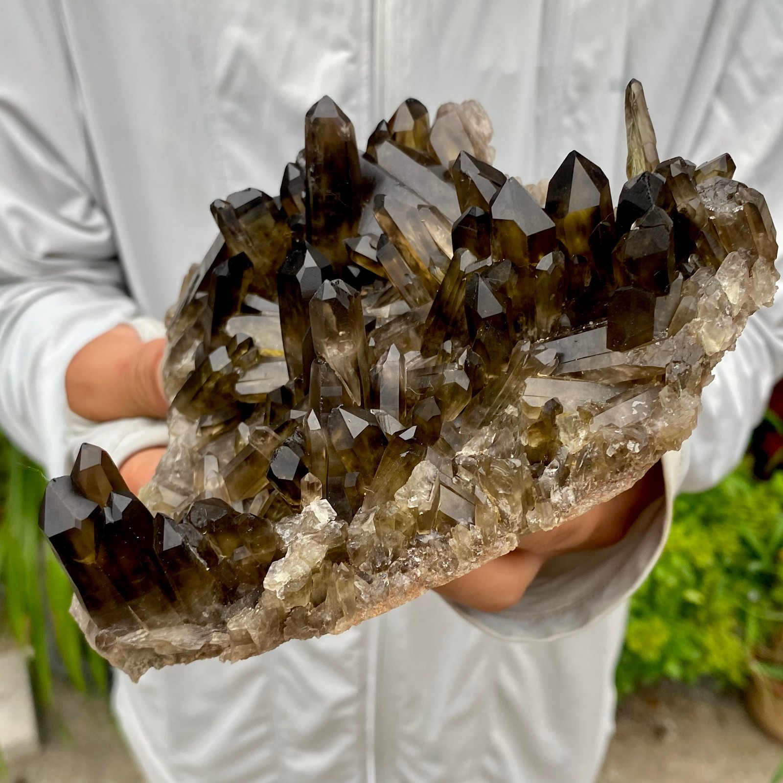 1.97LB Natural Black Smoky Quartz Crystal Cluster Raw Mineral Specimen