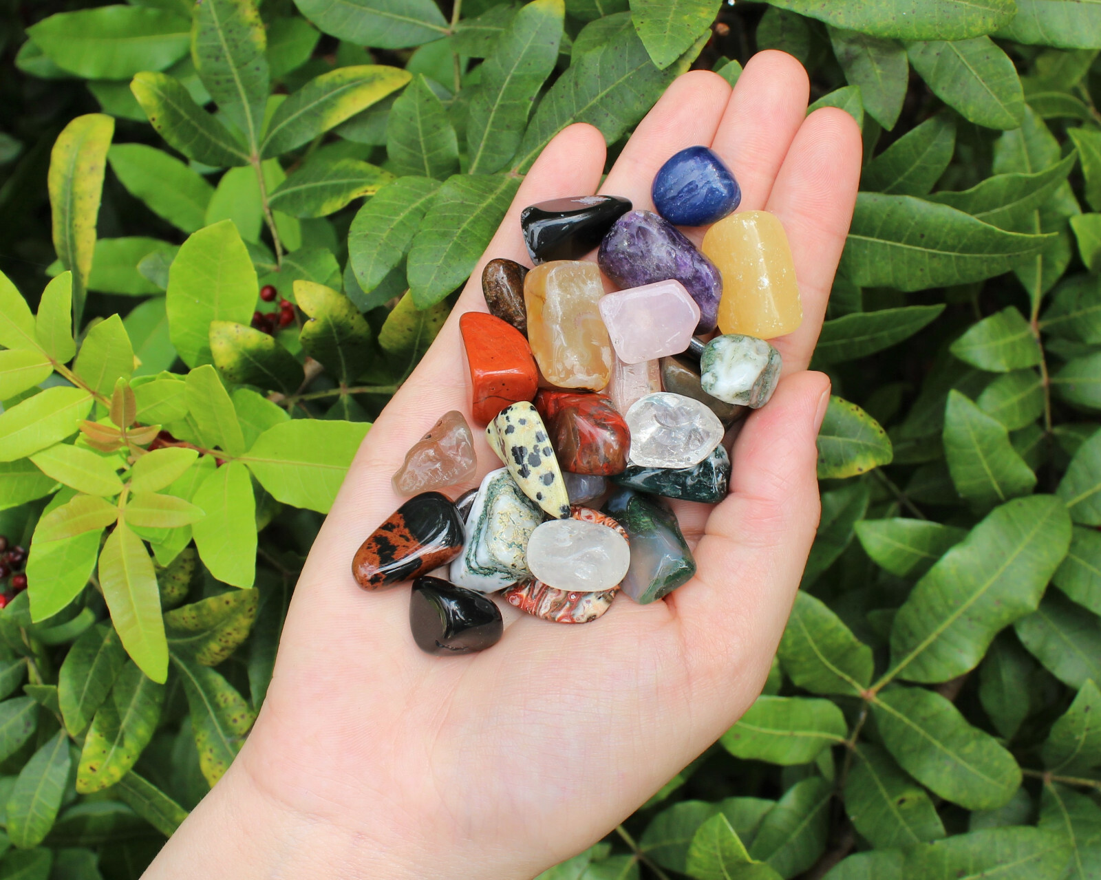 WHOLESALE 10 lb Lot of Small Assorted Mixed Tumbled Stones, MAD CHEAP Crystals!