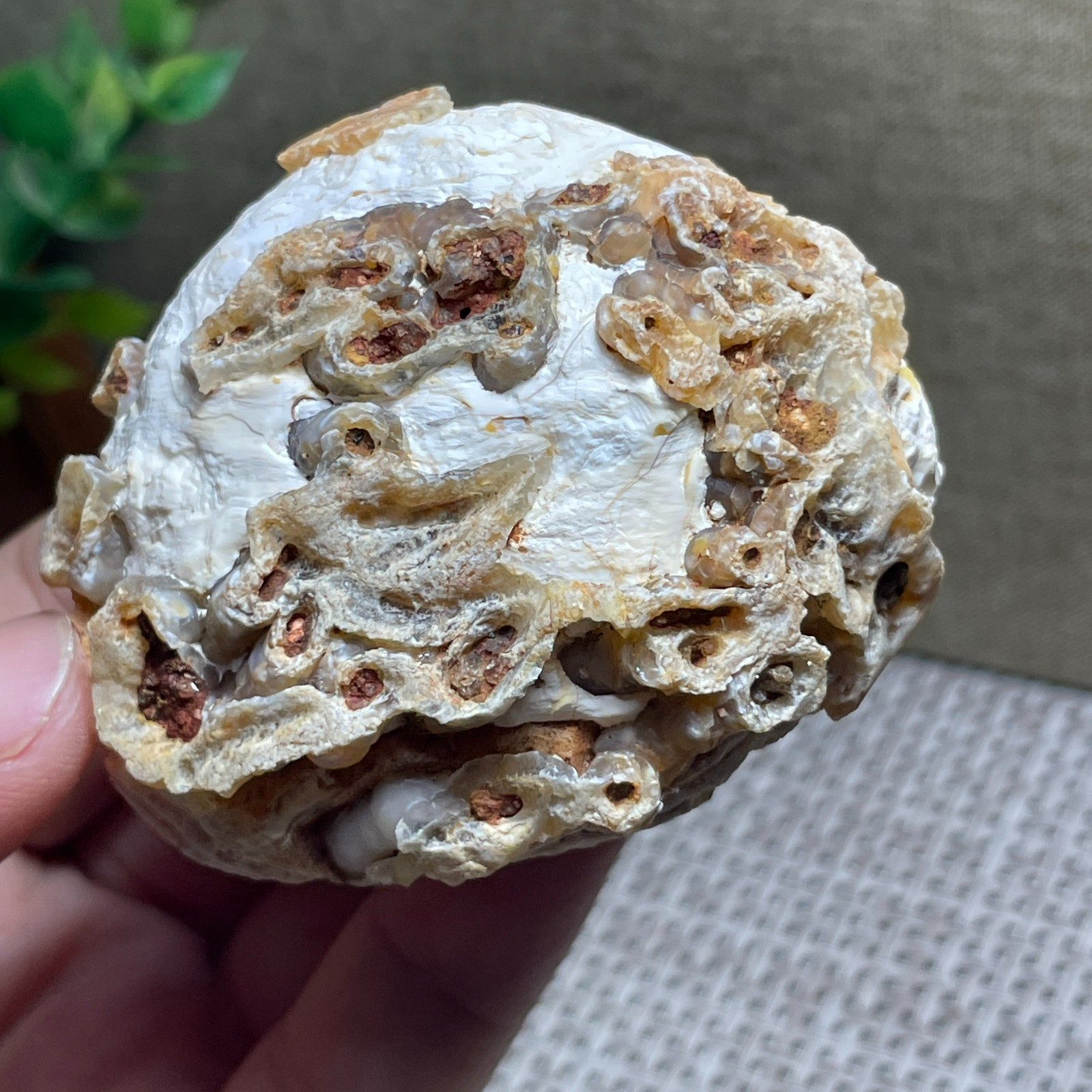 Beautiful ! GoBi agate eyes stone rough Crystal Stone Specimen Viewing 146g C55