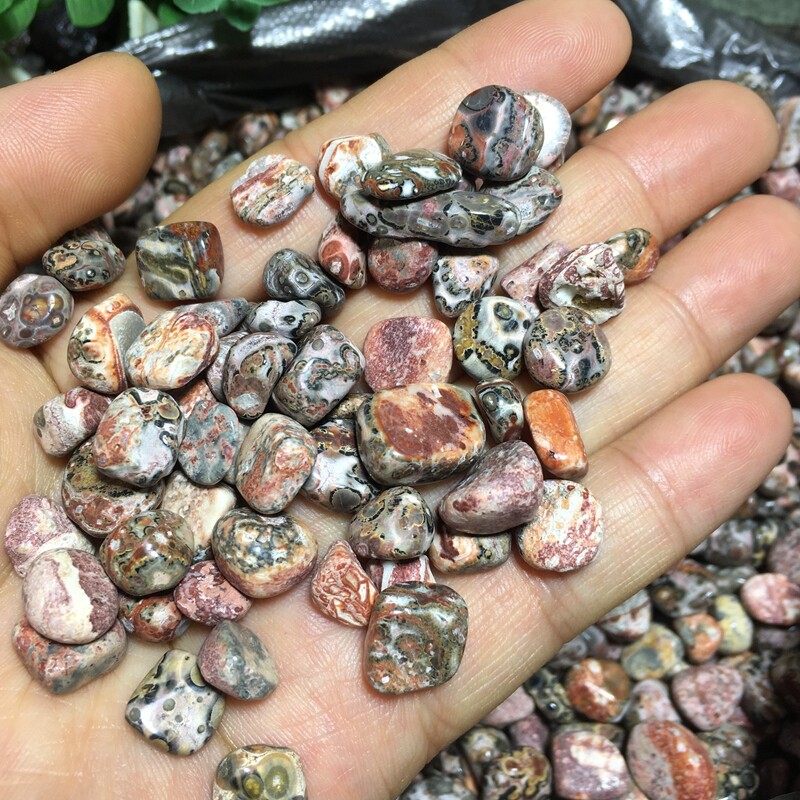 50g Leopard stone polish Tumbled stone healing reiki small size 4-9mm