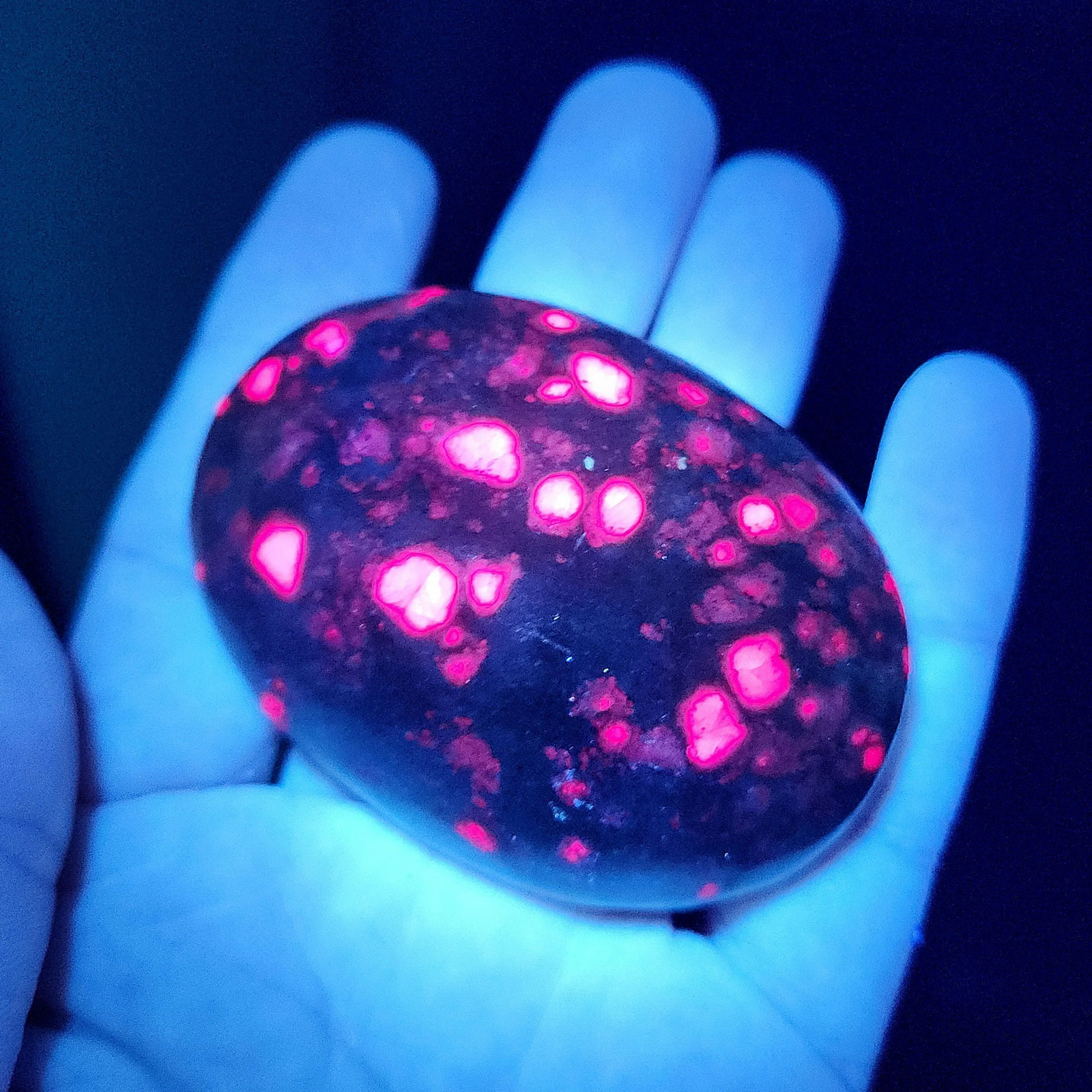 Ruby Fuchsite Palm Stone