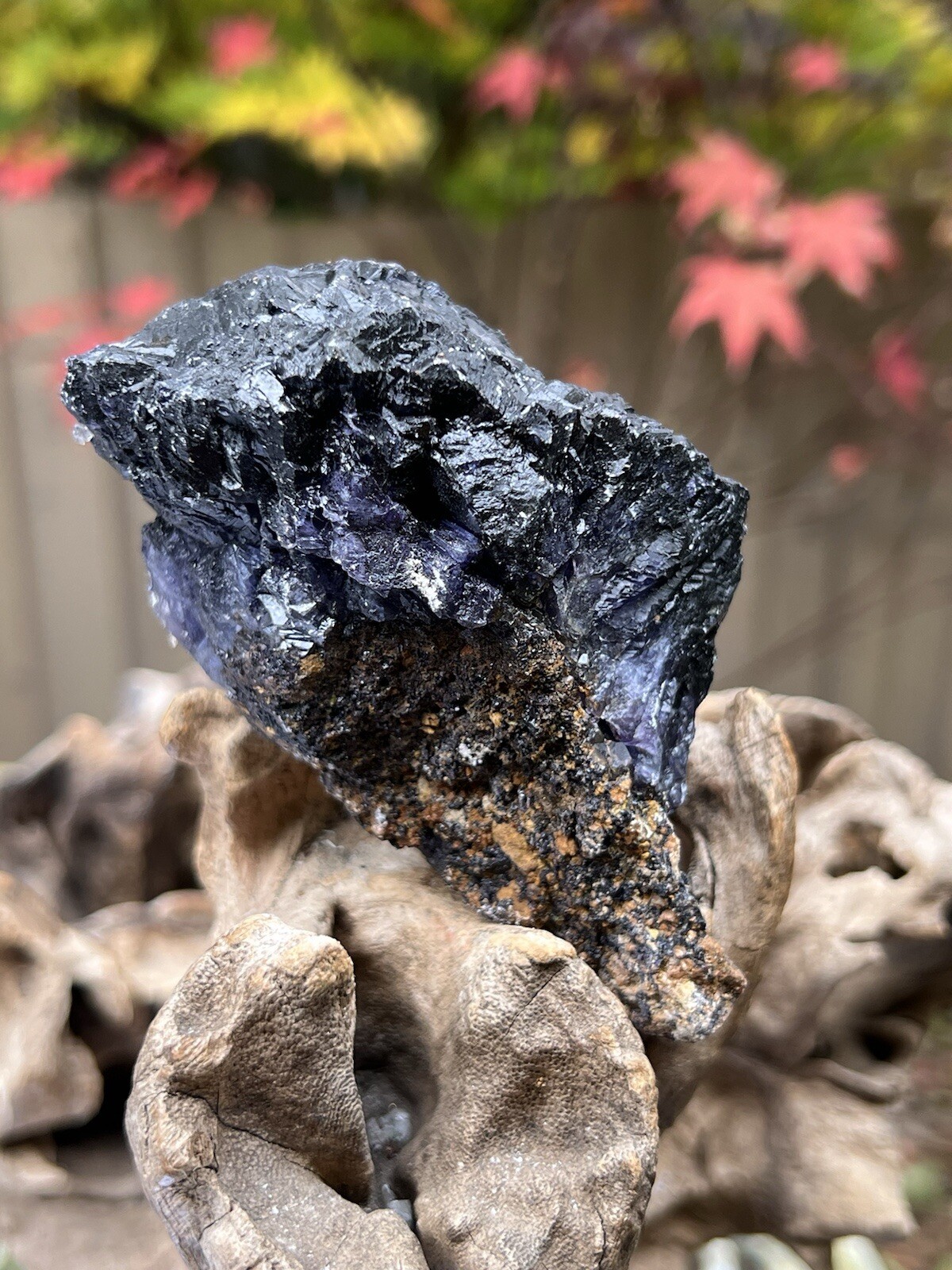 Blue John Fluorite Mineral Specimen United Kingdom 342g 8