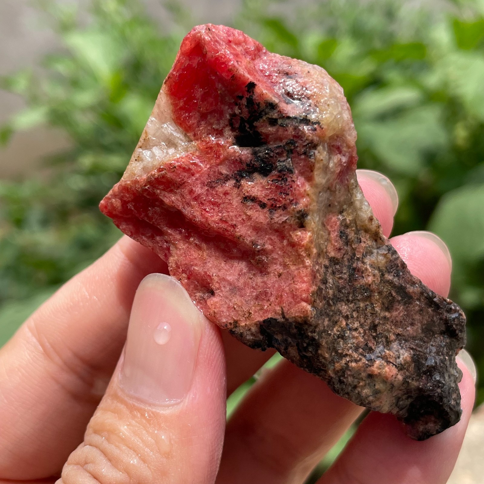 69g Small Raw Ore Red Black Rhodonite Quartz Gemstone Mineral Specimen