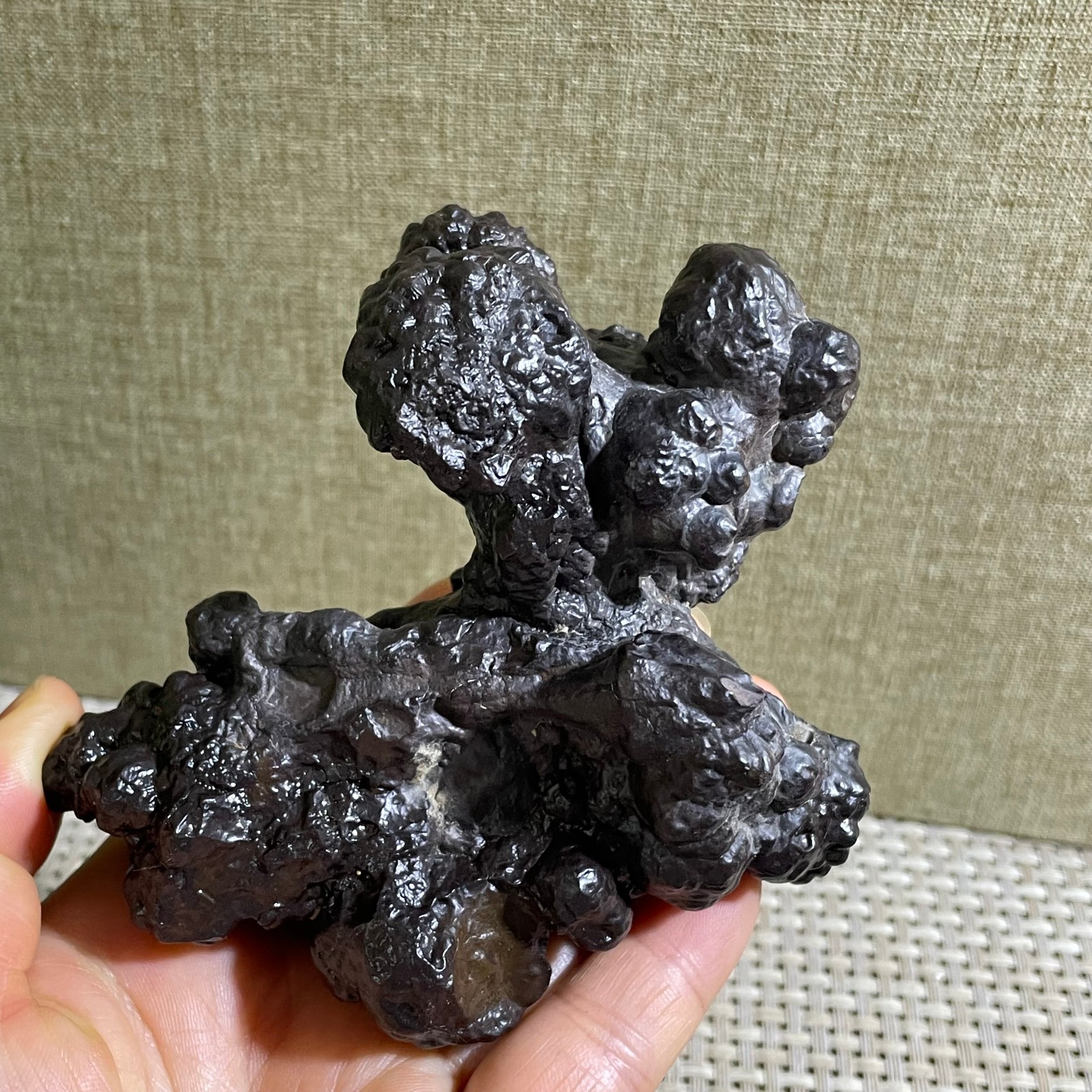 432g Limonite & Hematite pseudomorph after Marcasite Prophecy Rock Stone