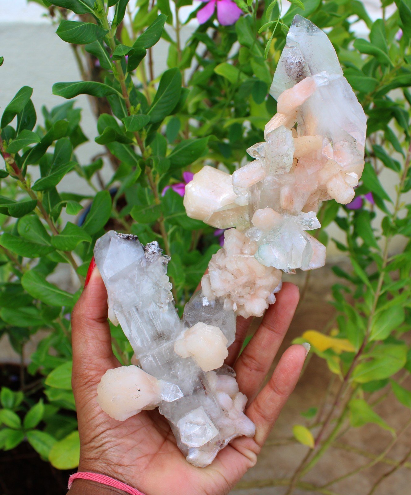 Apophyllite Crystals w/ Stilbite Formation Minerals Specimen ( 21×10 ) REPAIR