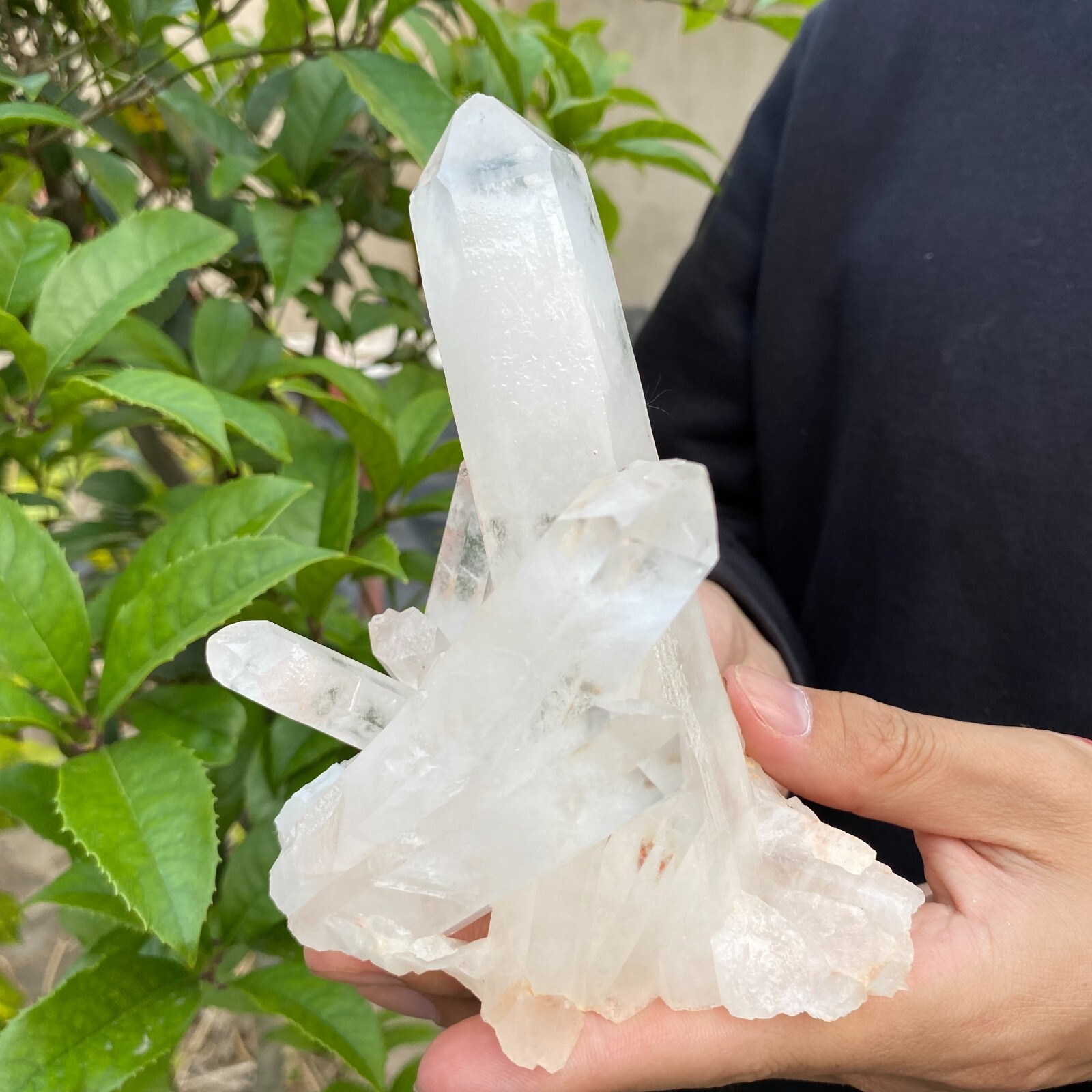 1.1lb Natural Clear White quart Crystal Cluster Raw Healing Specimen