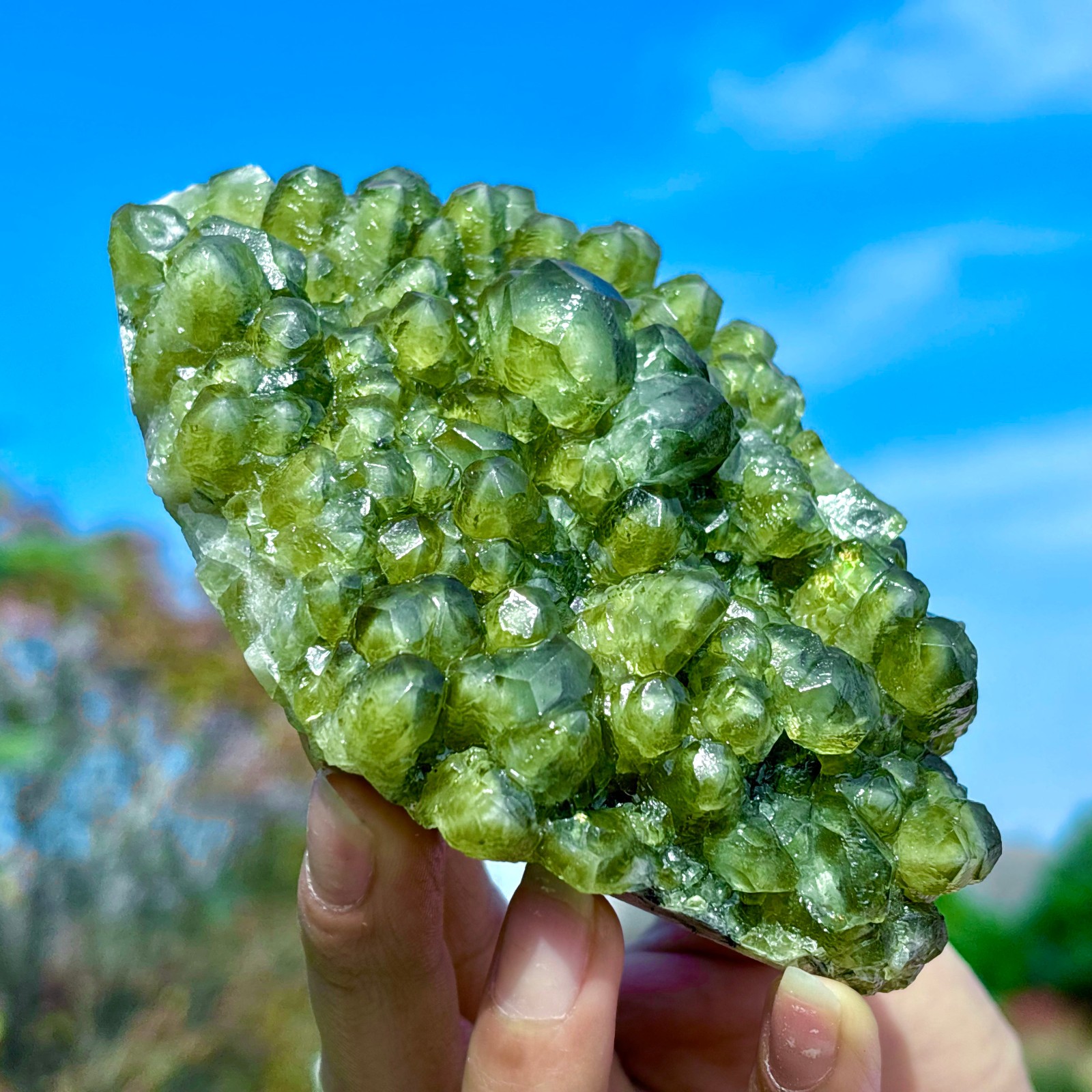 405G Natural Spherical Prehnite Crystal Gem Mineral Specimen&Crystallization