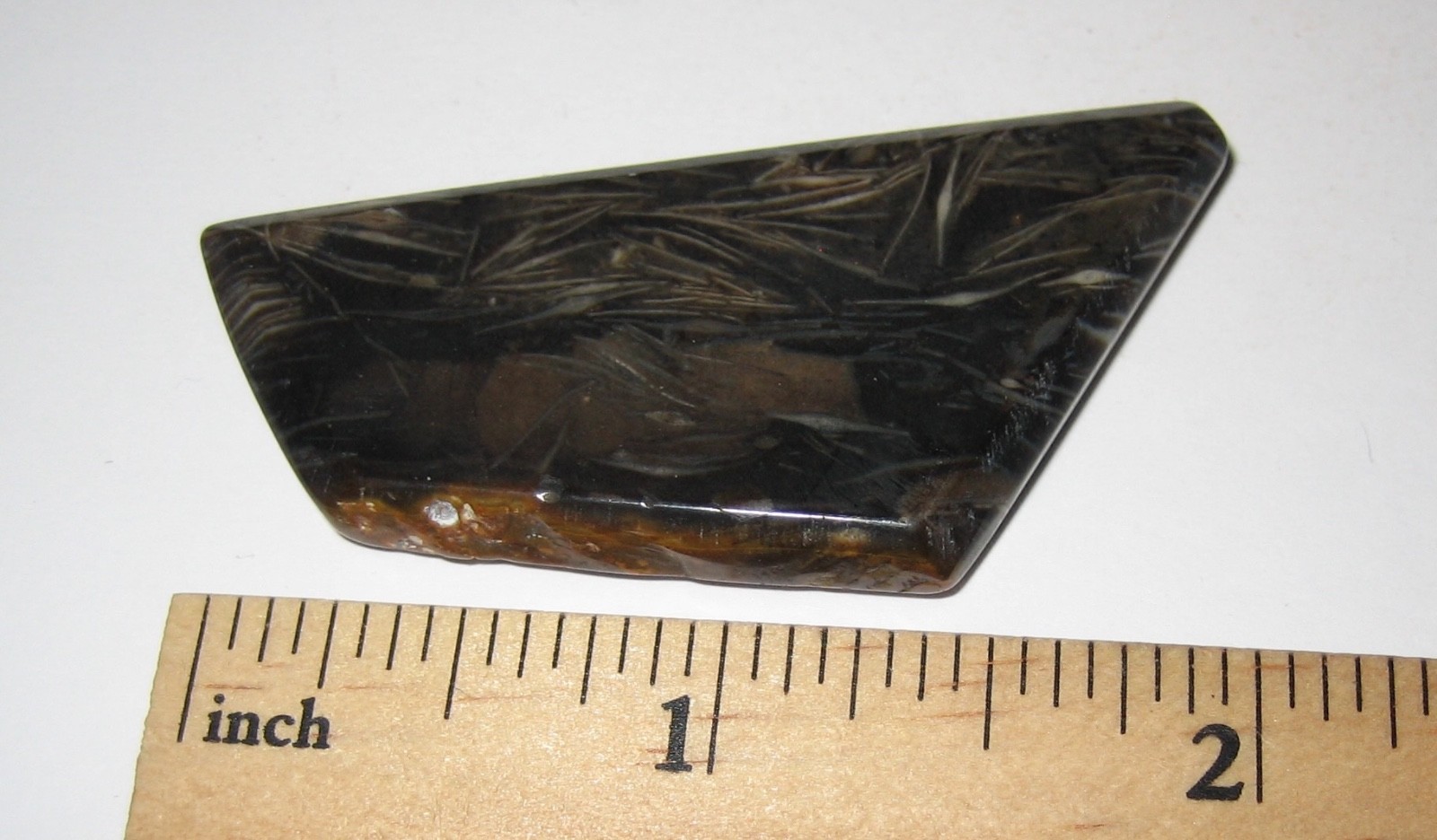 2.1″ x 1″ TUMBLED POLISHED CABOCHON STYLE CUT FOSSIL FORAMINIFERA STONE 12.7g *6