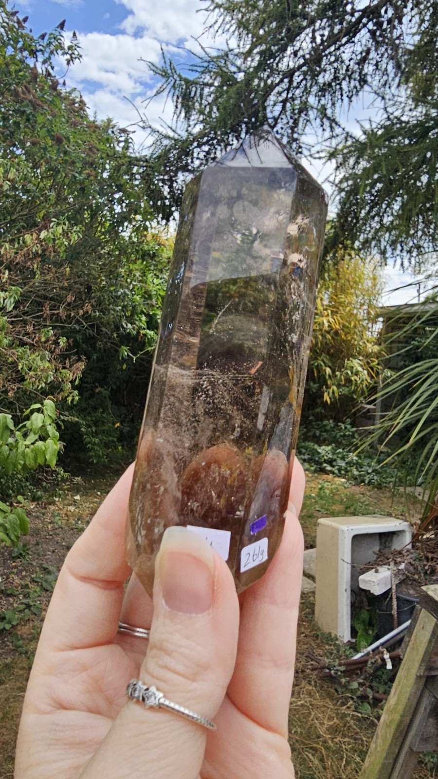 A Grade Smokey Quartz Freeform On Wood Root Base Point 261g 15.5cm smoky