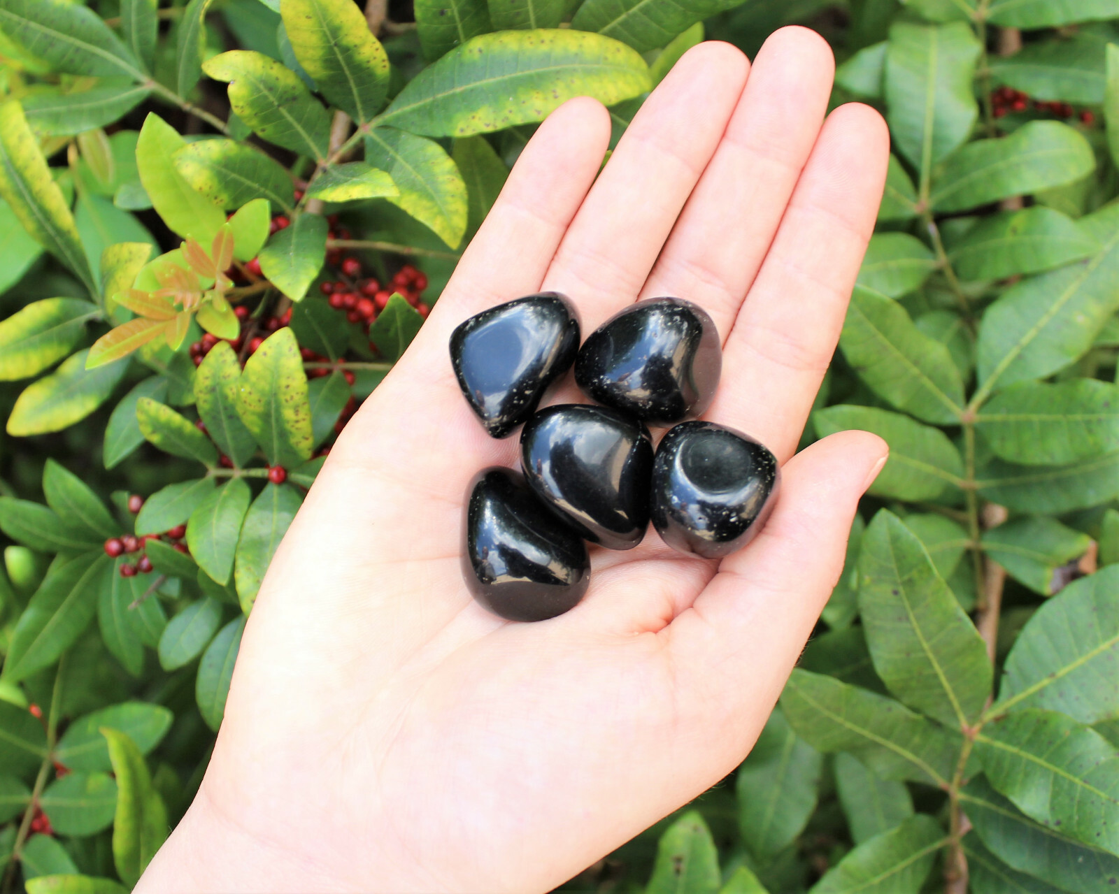 1/2 lb Bulk Lot: Black Obsidian Tumbled Stone (Crystal Healing Reiki) 8 oz