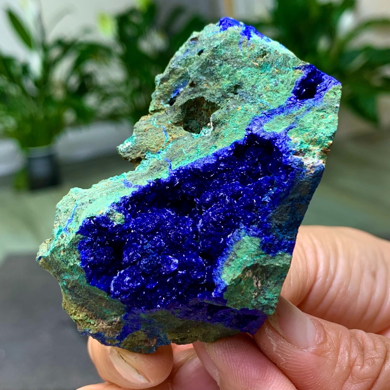 101G BEST Natural Azurite/Malachite crystal minerals specimens