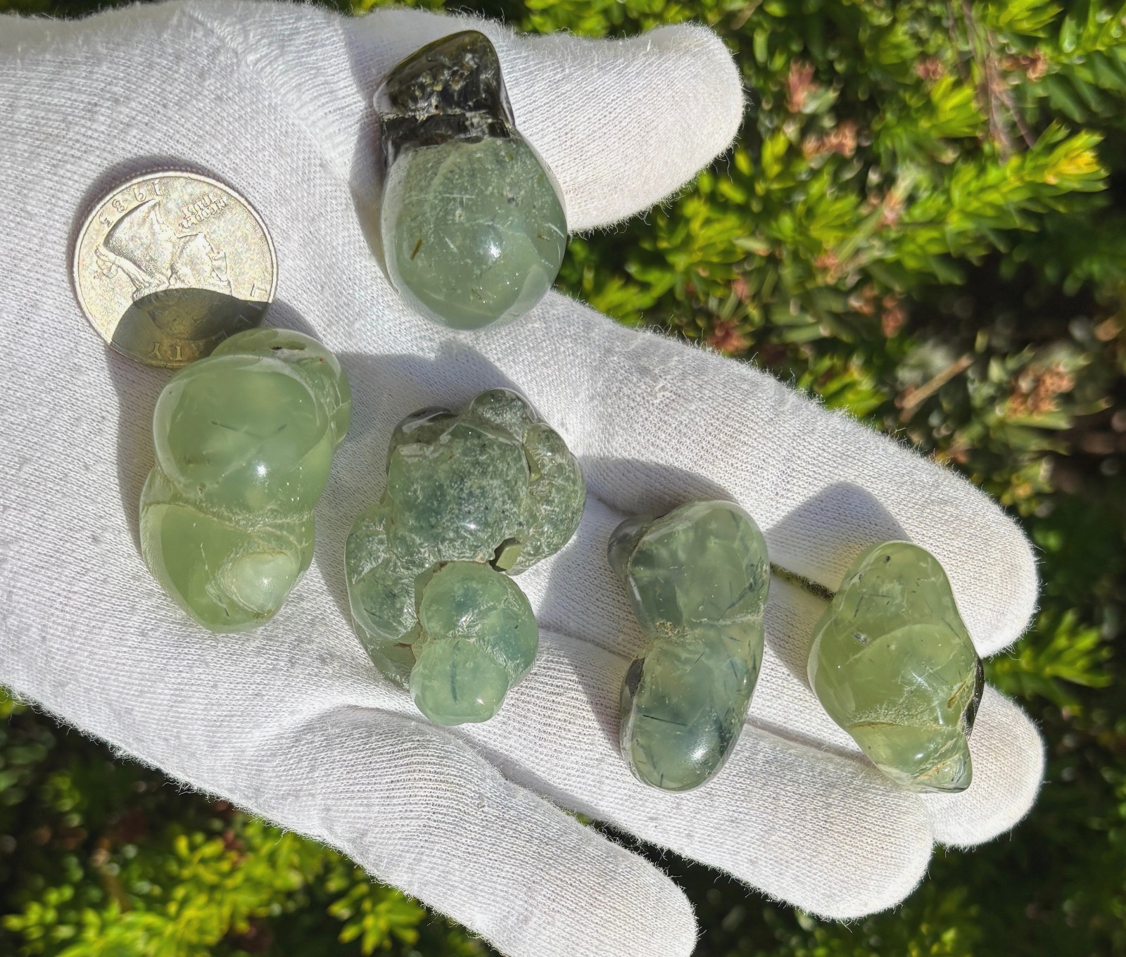 USA SALE 120g LOT 5 PREHNITE & EPIDOTE BOTRYOIDAL TUMBLES TUMBLE STONE STONES