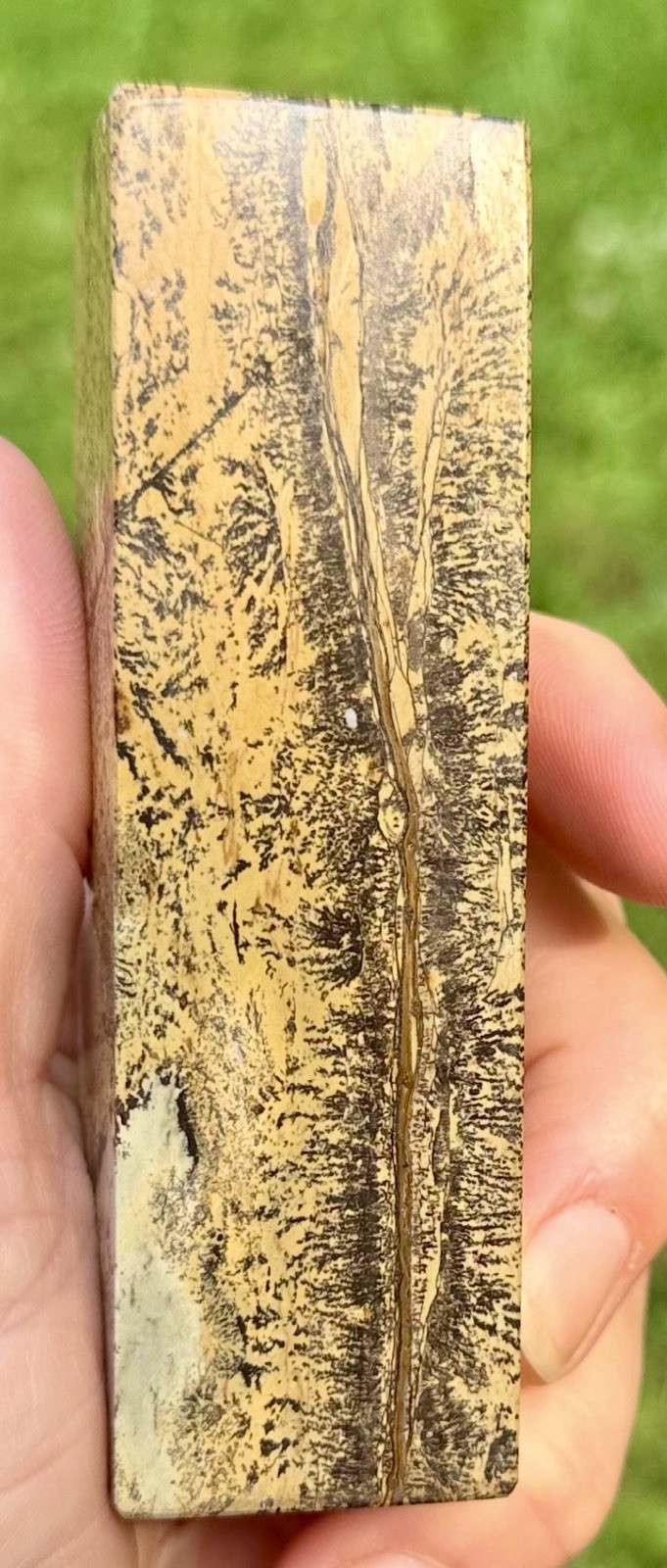 Picture Jasper Column 227g