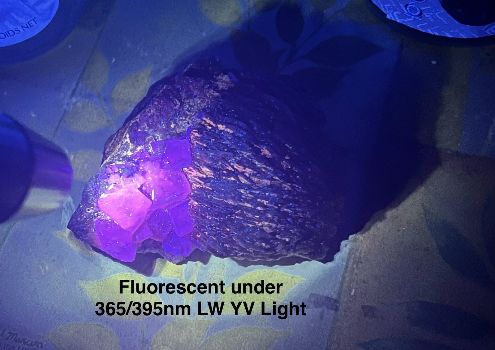 Yellow Fluorite Cubed Stone on Barite from Morocco 309g Over 3in -Fluorescent
