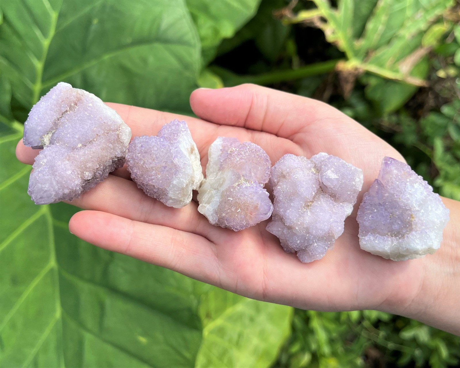 RARE Spirit Quartz Clusters Box: 8 oz, 5-6 Pieces (‘AAA’ Grade Natural Crystals)
