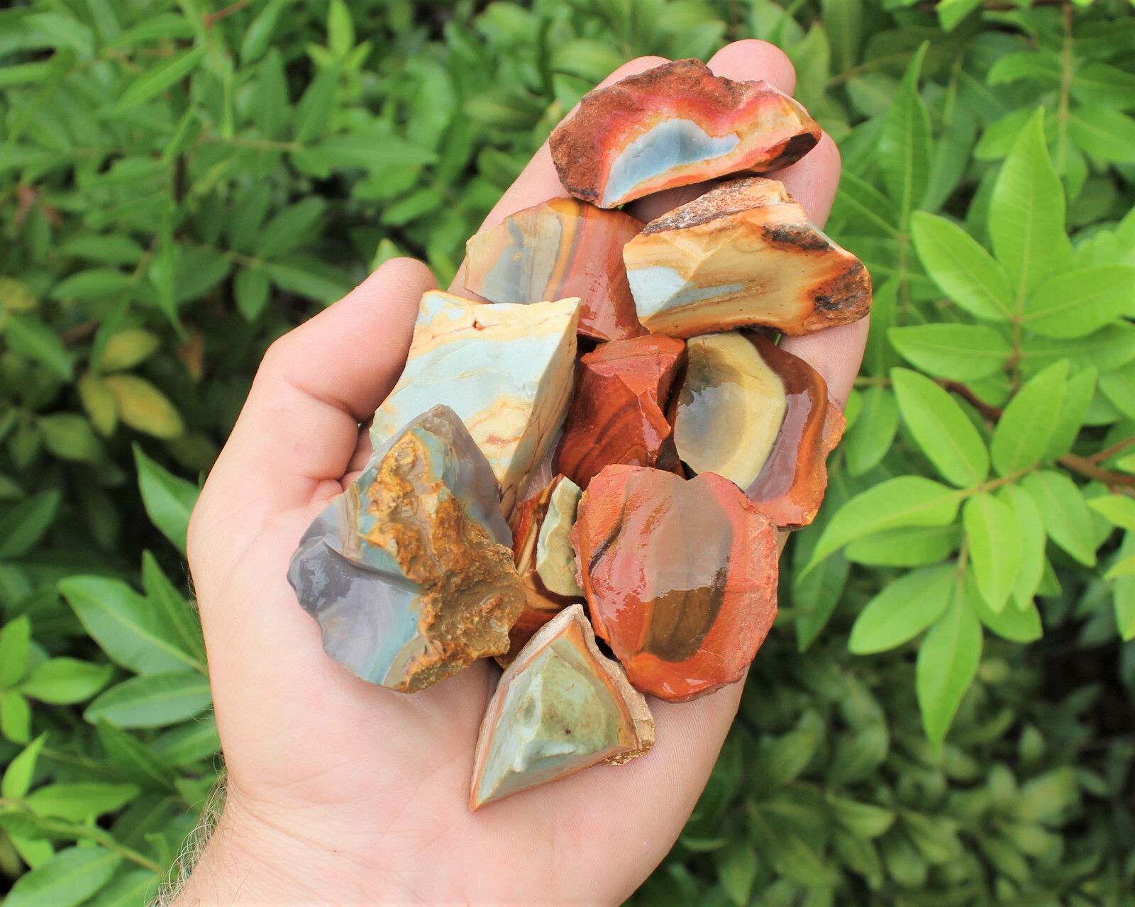 Polychrome Jasper Rough Natural Bulk Lots (Raw Polychrome Jasper, Desert Jasper)