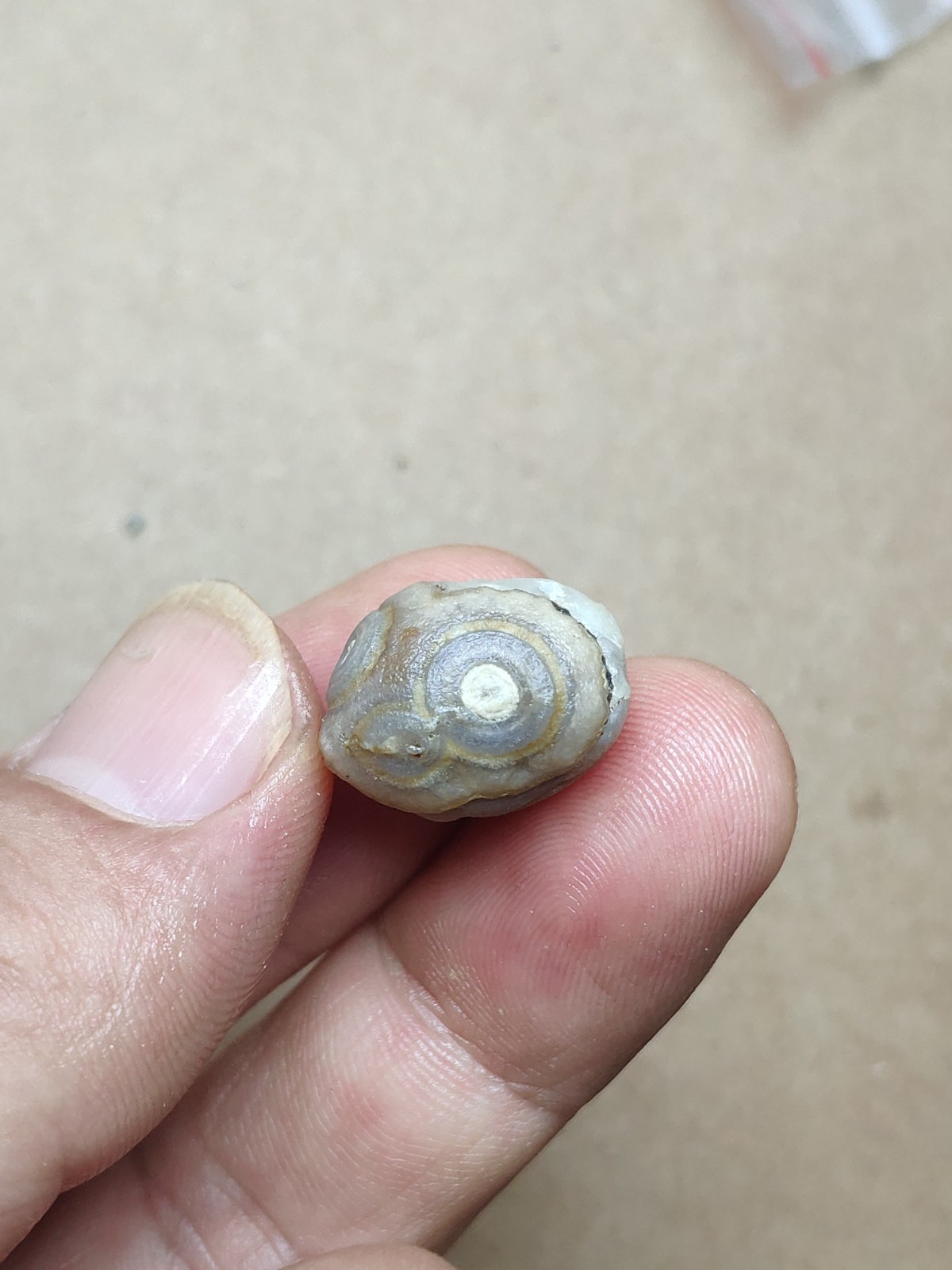 17mm Beautiful Natural agate Gobi agate eye agate cute collection