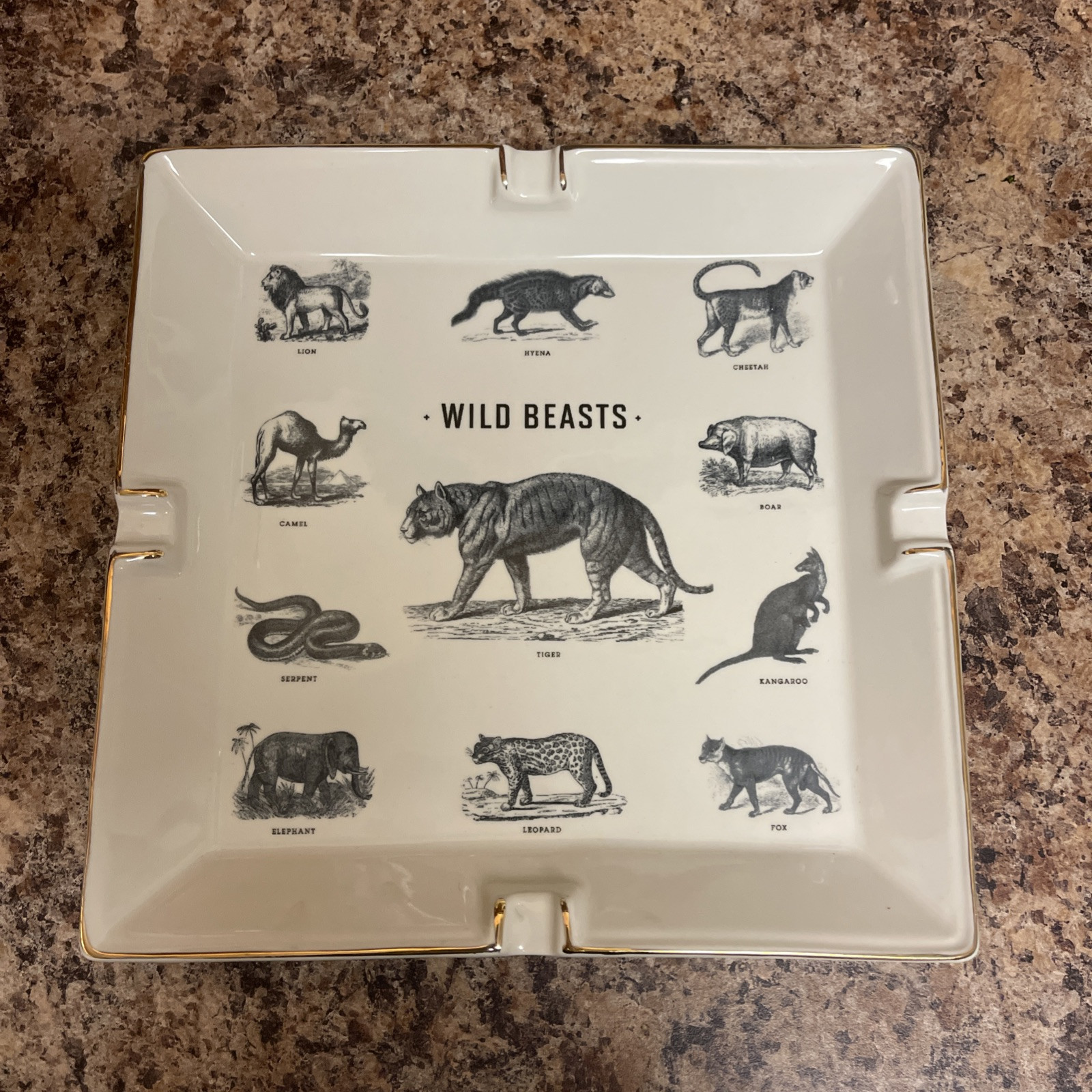 Izola Wild Beasts Catchall Ash Tray Ceramic Glossy Finsh 8.5″ x 8.5″