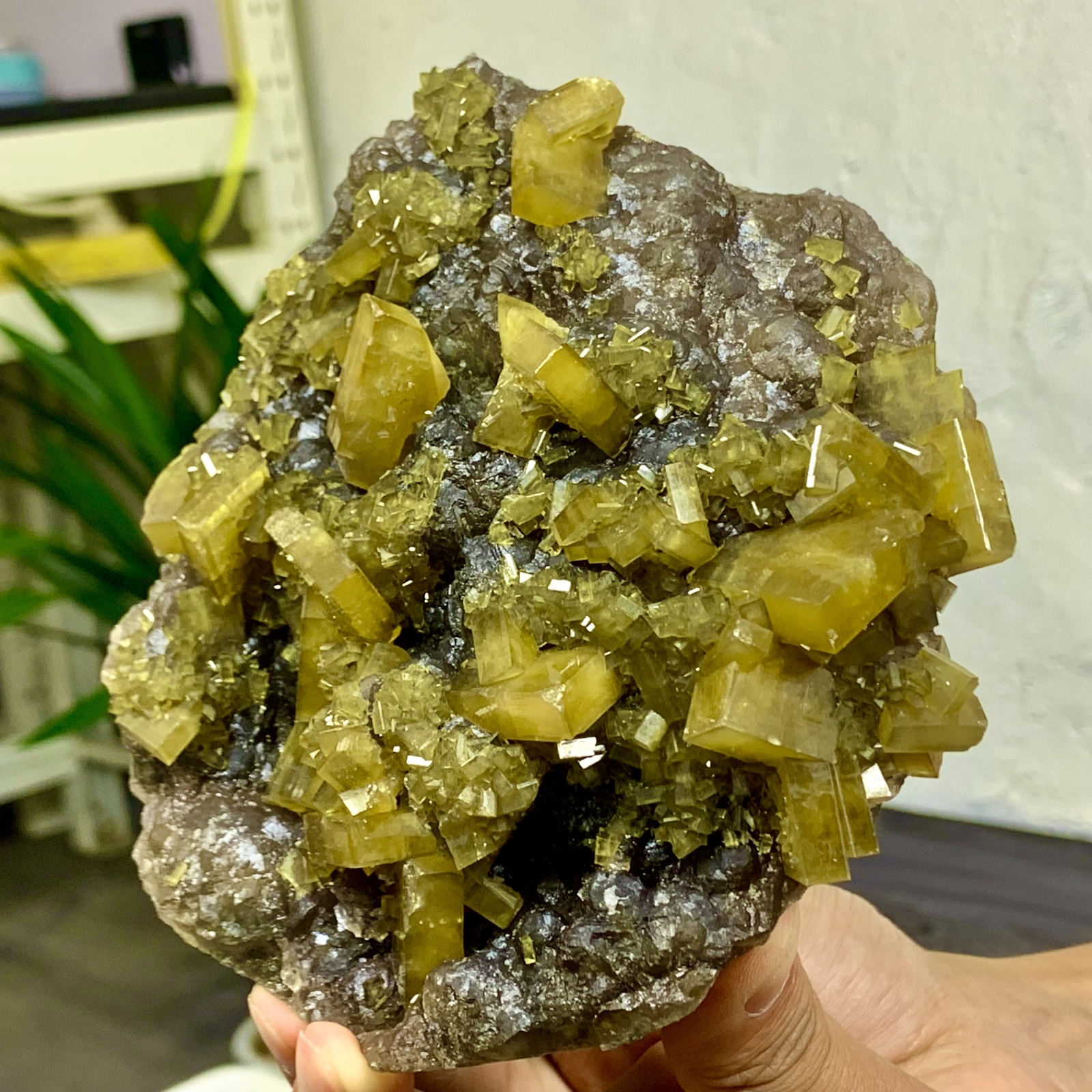 2.76LB Shiny Golden Cuboid Barite Crystal Based on the Purple Spherical Fluorite