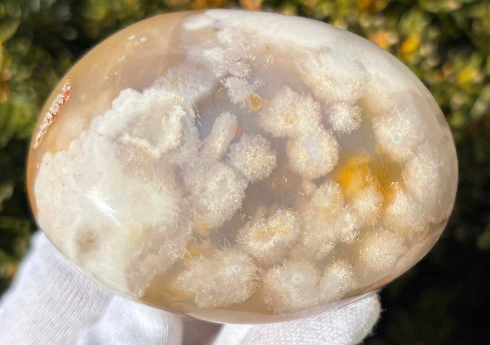 USA SALE 3/4Lb 367g LOT 3 FLOWER BLOSSOM AGATE PALMSTONES Palm Stones Stone
