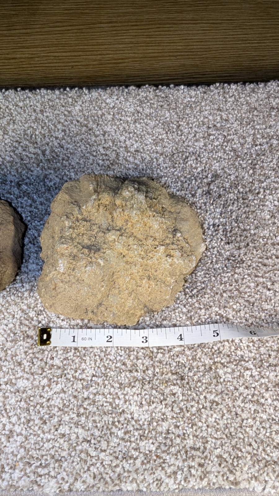 Geode Set Of 2 – Crack your own Native to Indiana Raw Rock