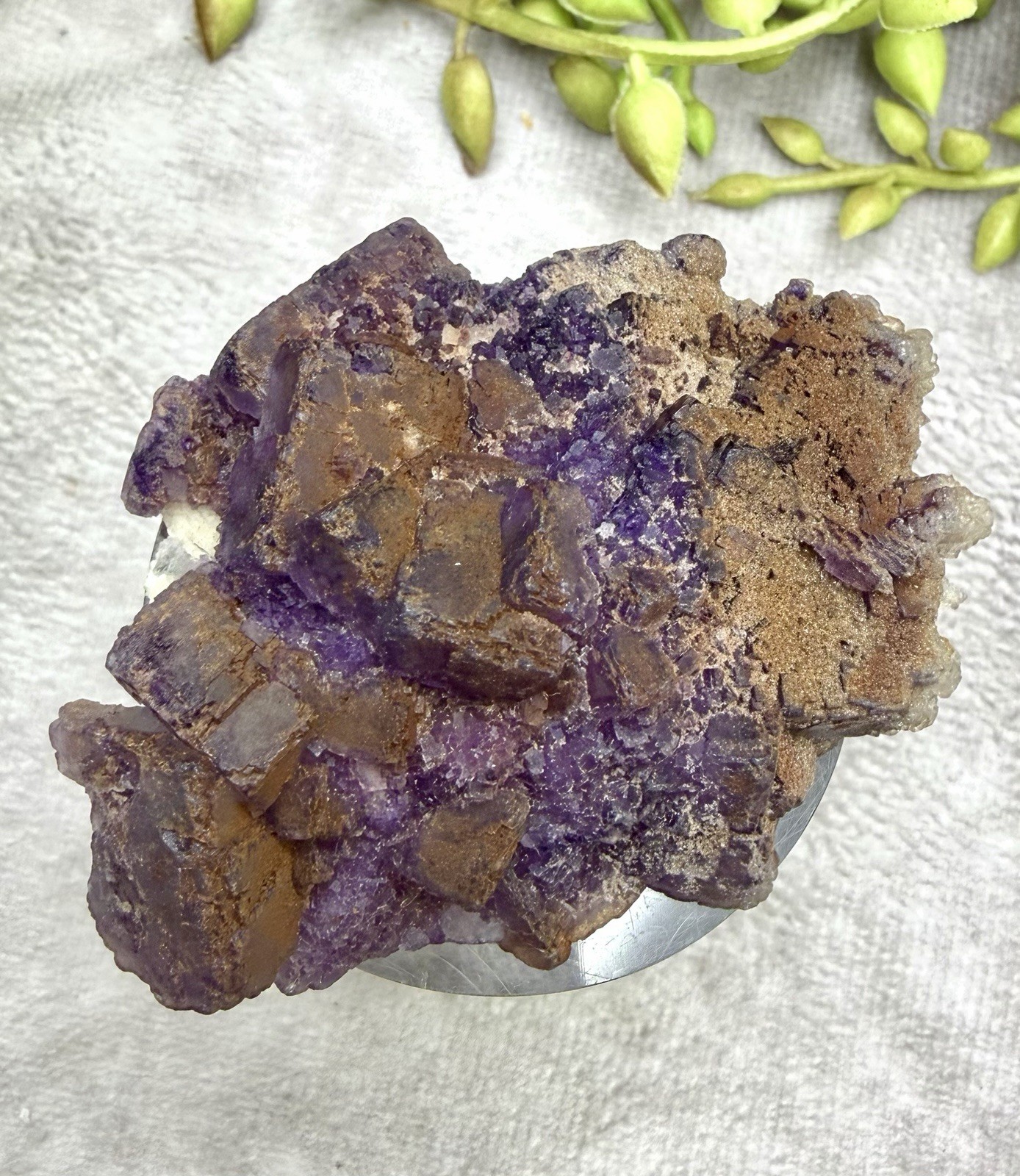 Crystal 58g Natural Coated Purple Window Cube Fluorite Specimen Mineral