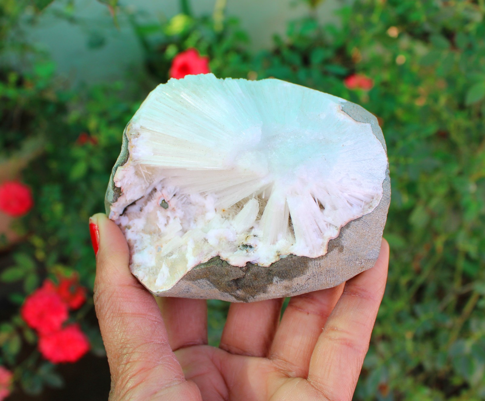 Scolecite In Geode Minerals Specimen#A9