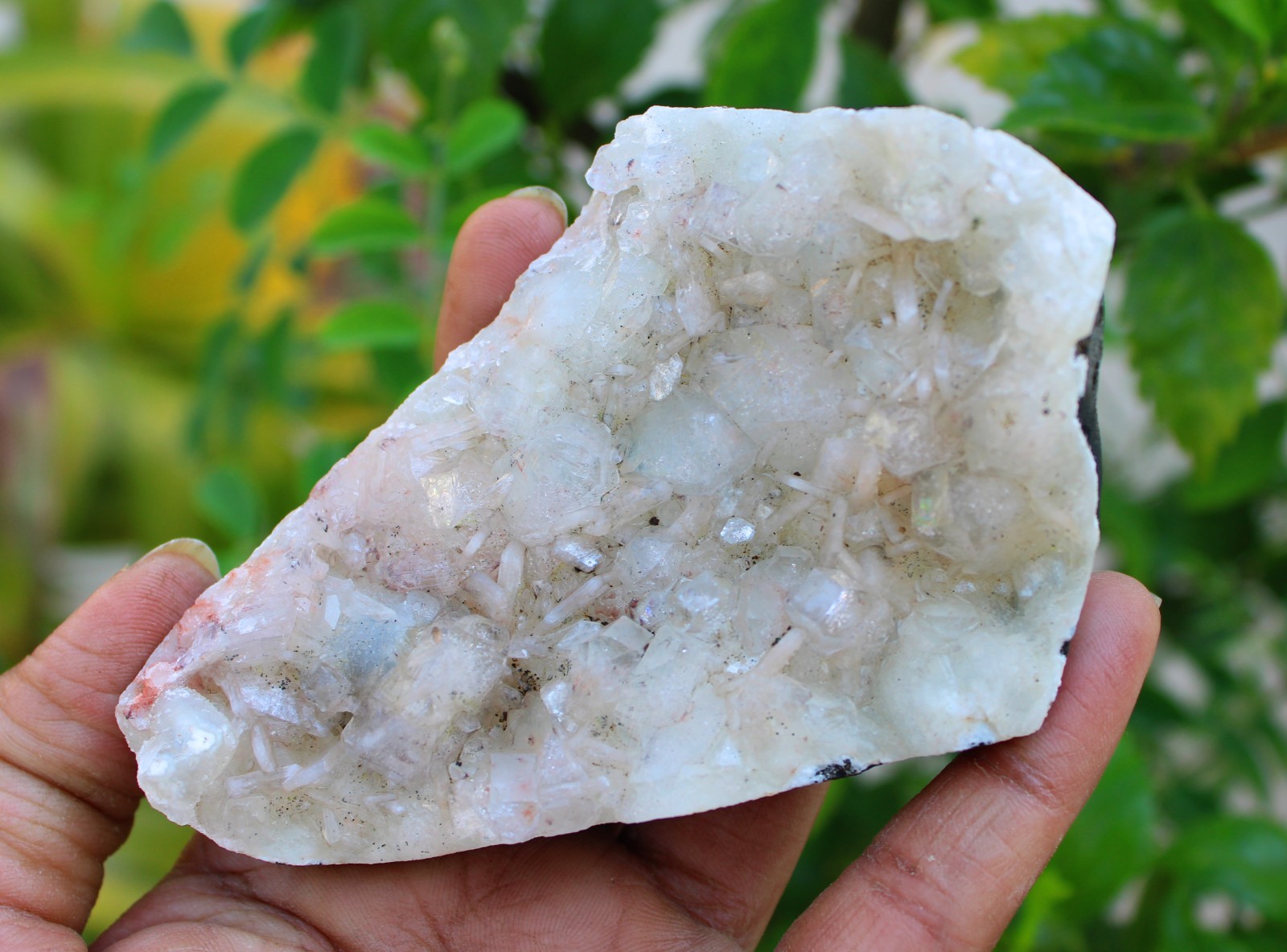 green apophyllite crystals on matrix minerals specimen #A43