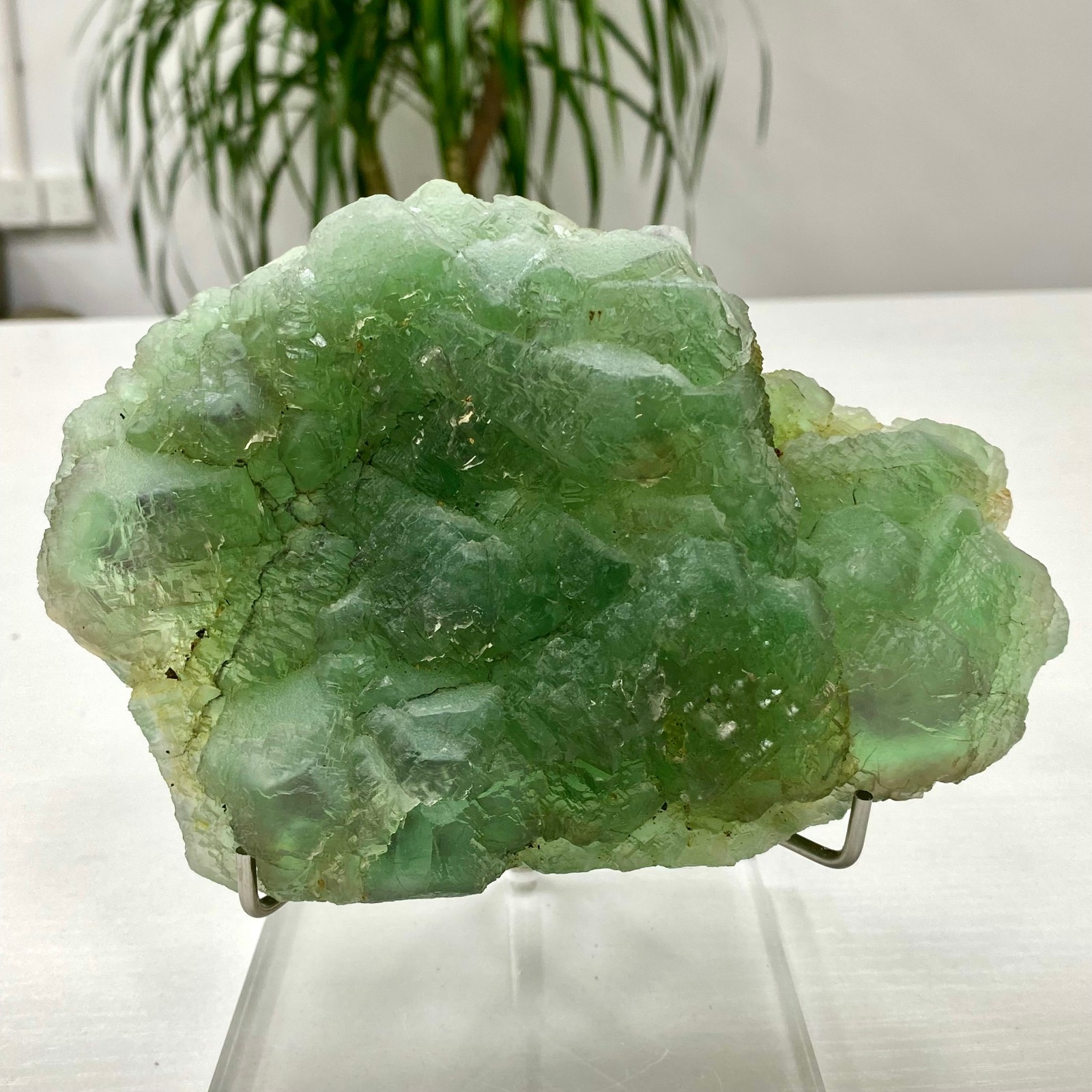 3.64LB Natural transparent green cubic fluorite mineral crystal sample/China