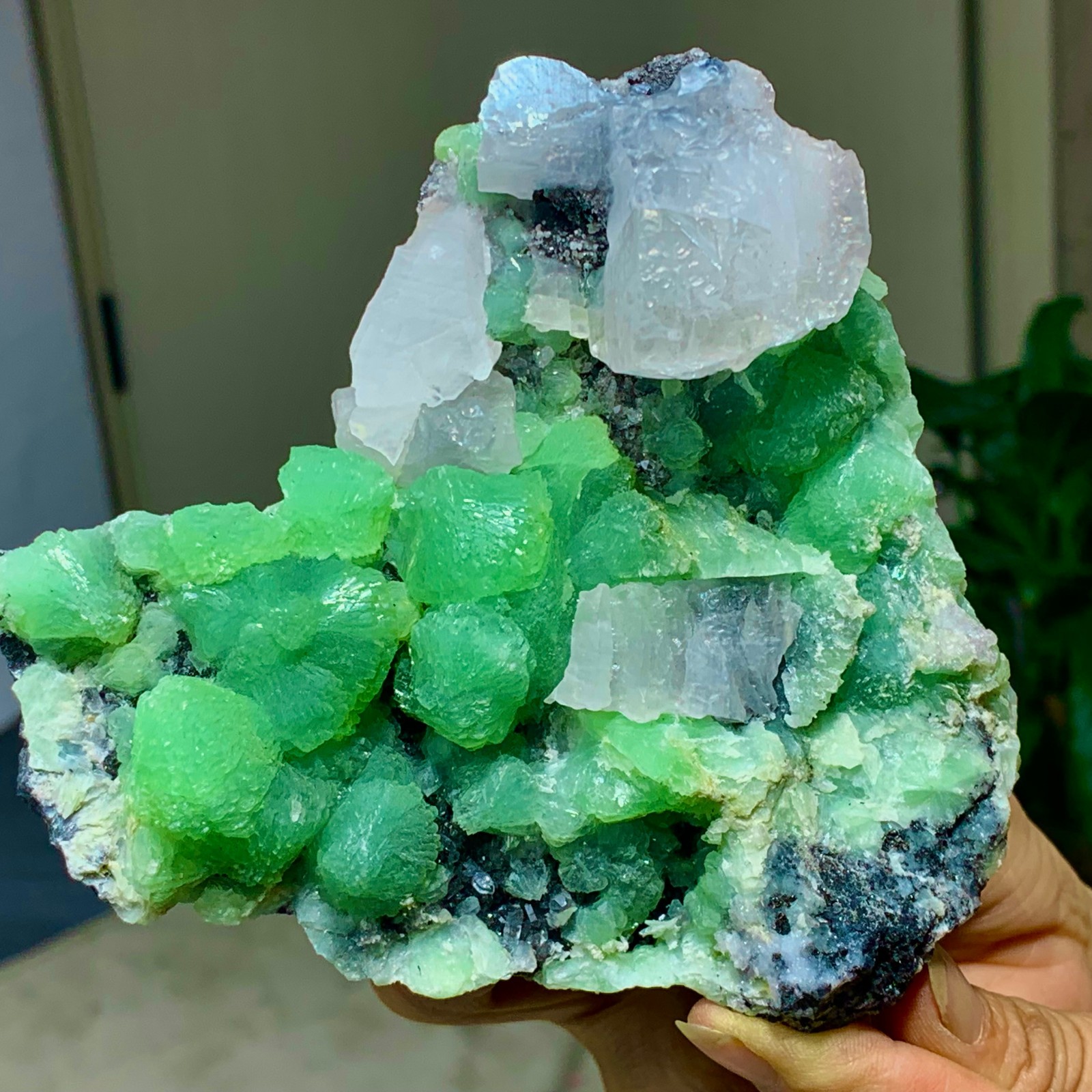 462G Natural beautiful spherical prehnite with calcite quartz crystal mineral