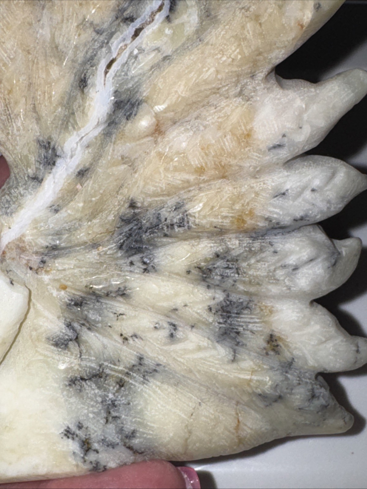 Dendritic Agate Nine Tail Fox. Some Points of The Tail Are Irregular See Photos