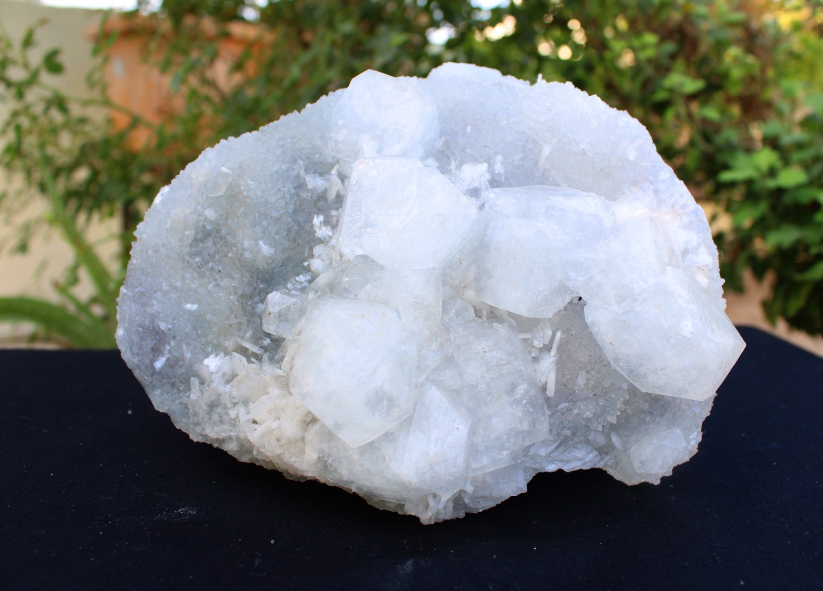 APOPHYLLITE CRYSTAL ON CHALCEDONY CORAL MATRIX MINERALS SPECIMEN #A34