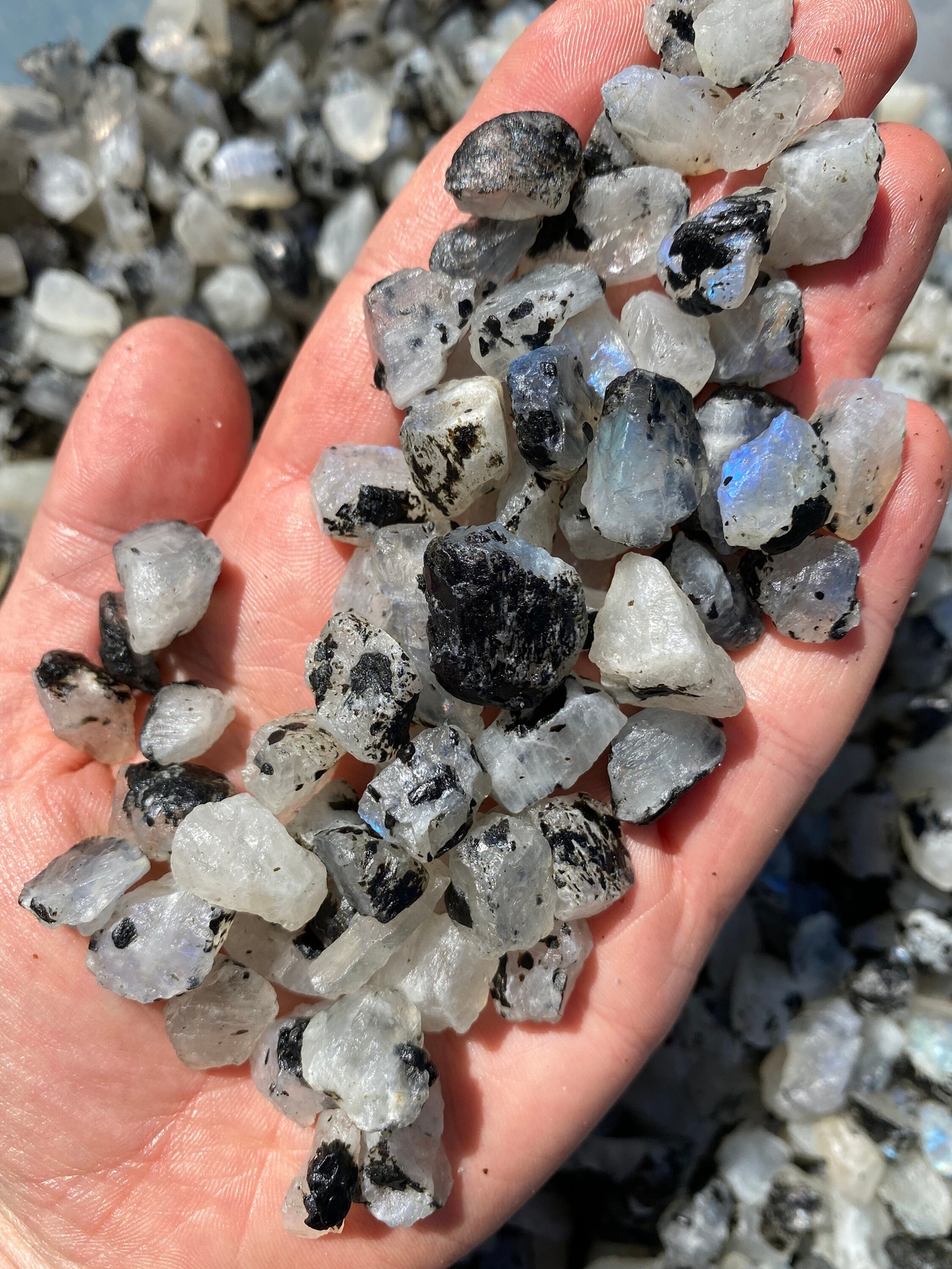 Raw Rainbow Moonstone (Grade AA) Natural Rough Rainbow Moonstone Gemstone